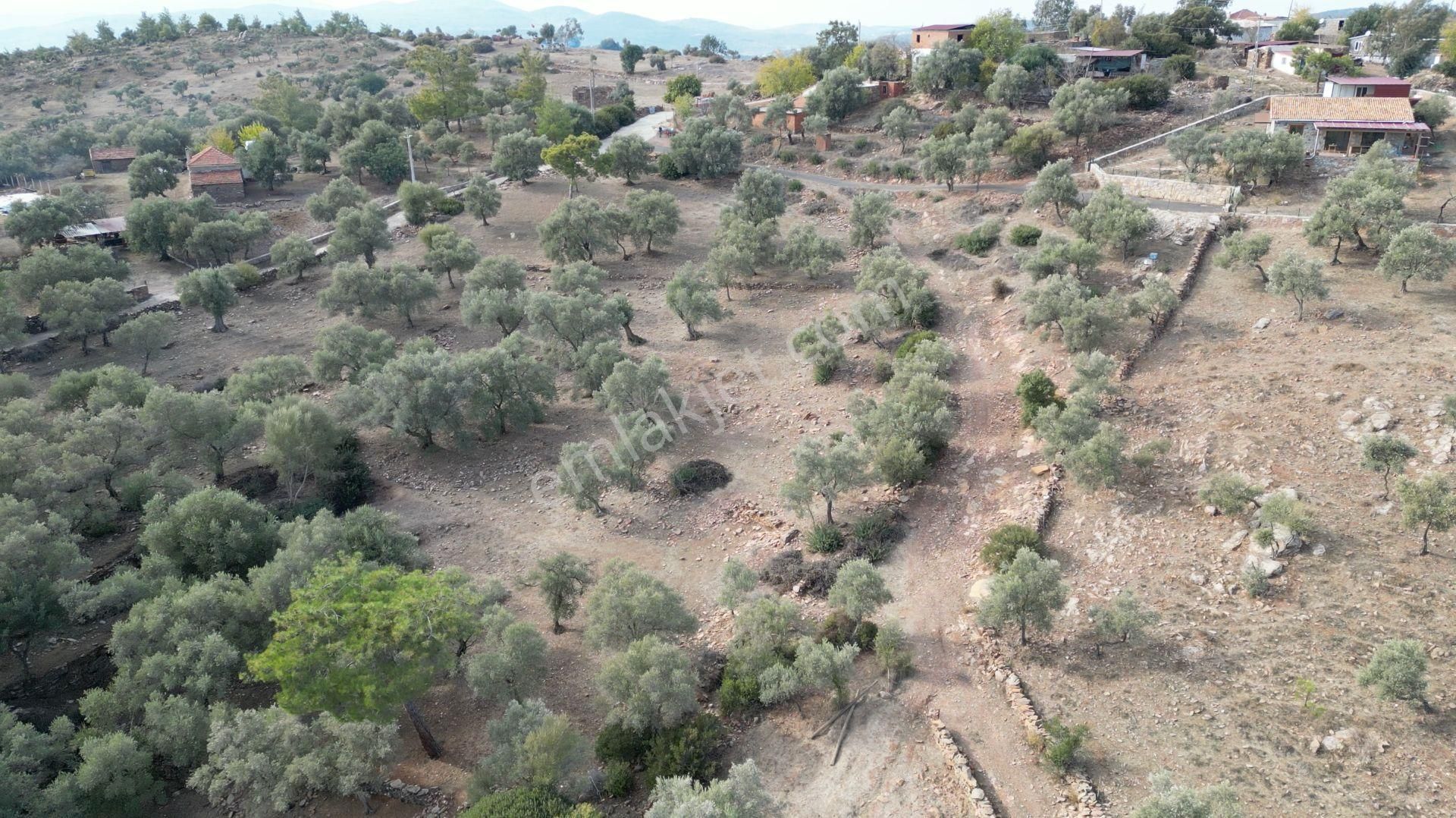 Muğla Bodrum Bahçeyakası'nda Anayola 105m Cepheli 6.186m² Arazi - Görsel 12