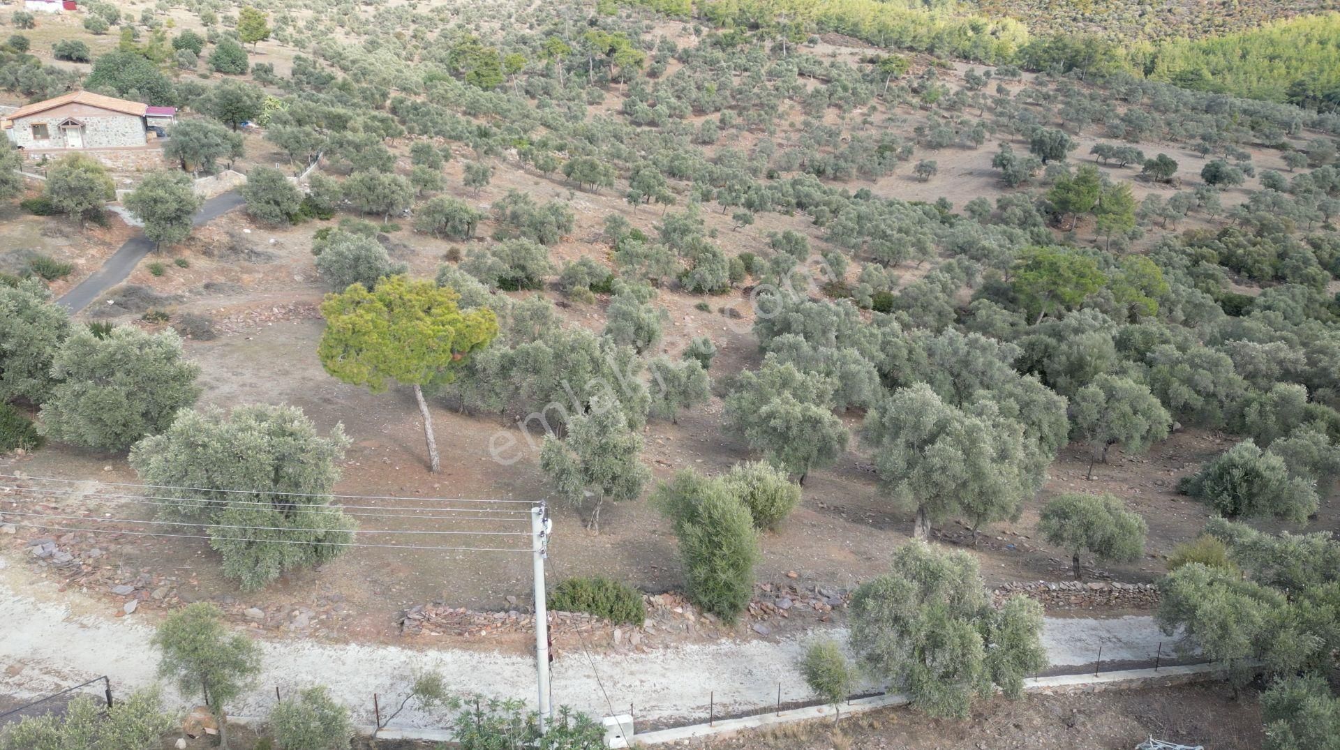 Muğla Bodrum Bahçeyakası'nda Anayola 105m Cepheli 6.186m² Arazi - Görsel 10