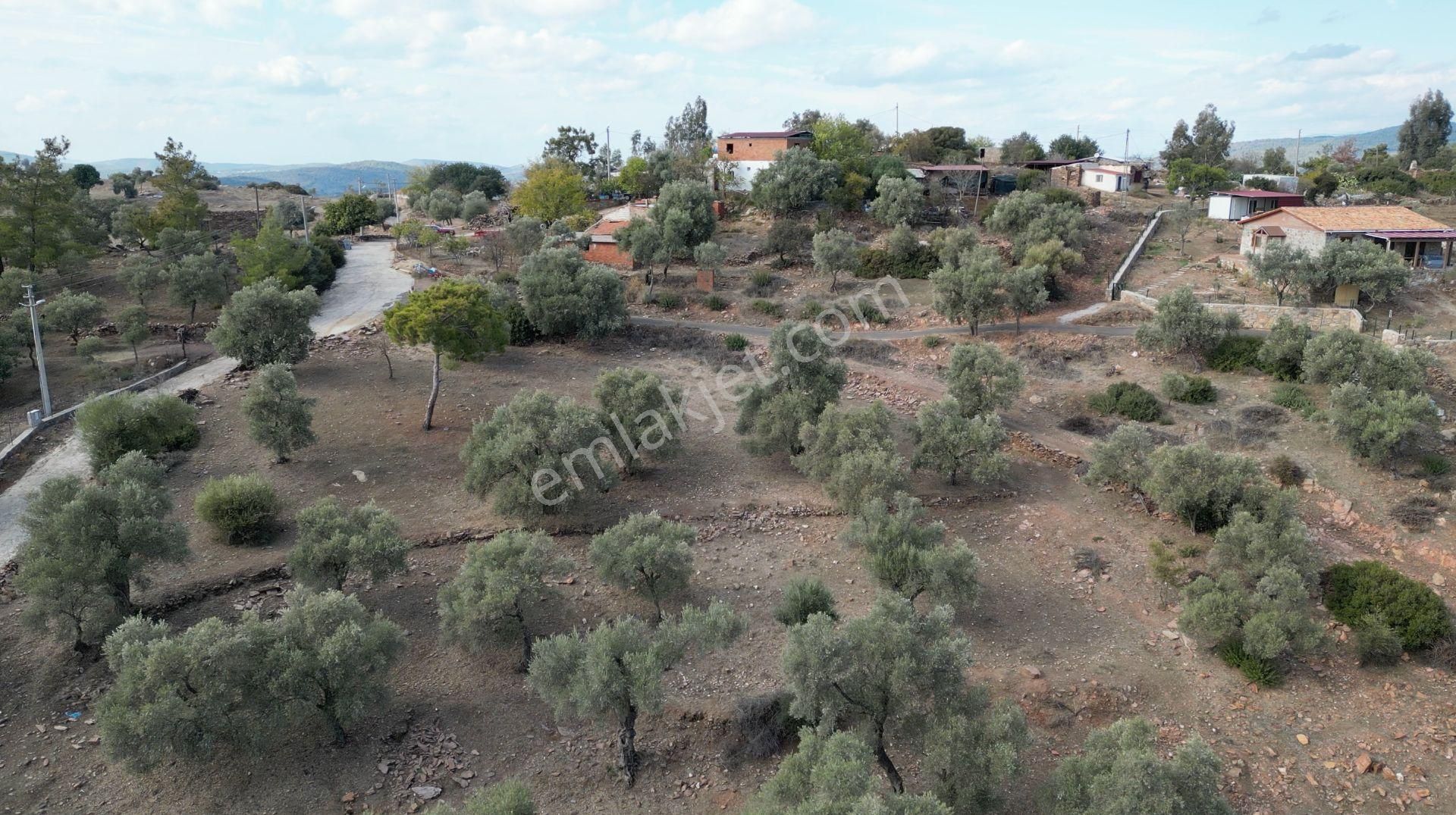 Muğla Bodrum Bahçeyakası'nda Anayola 105m Cepheli 6.186m² Arazi - Görsel 15