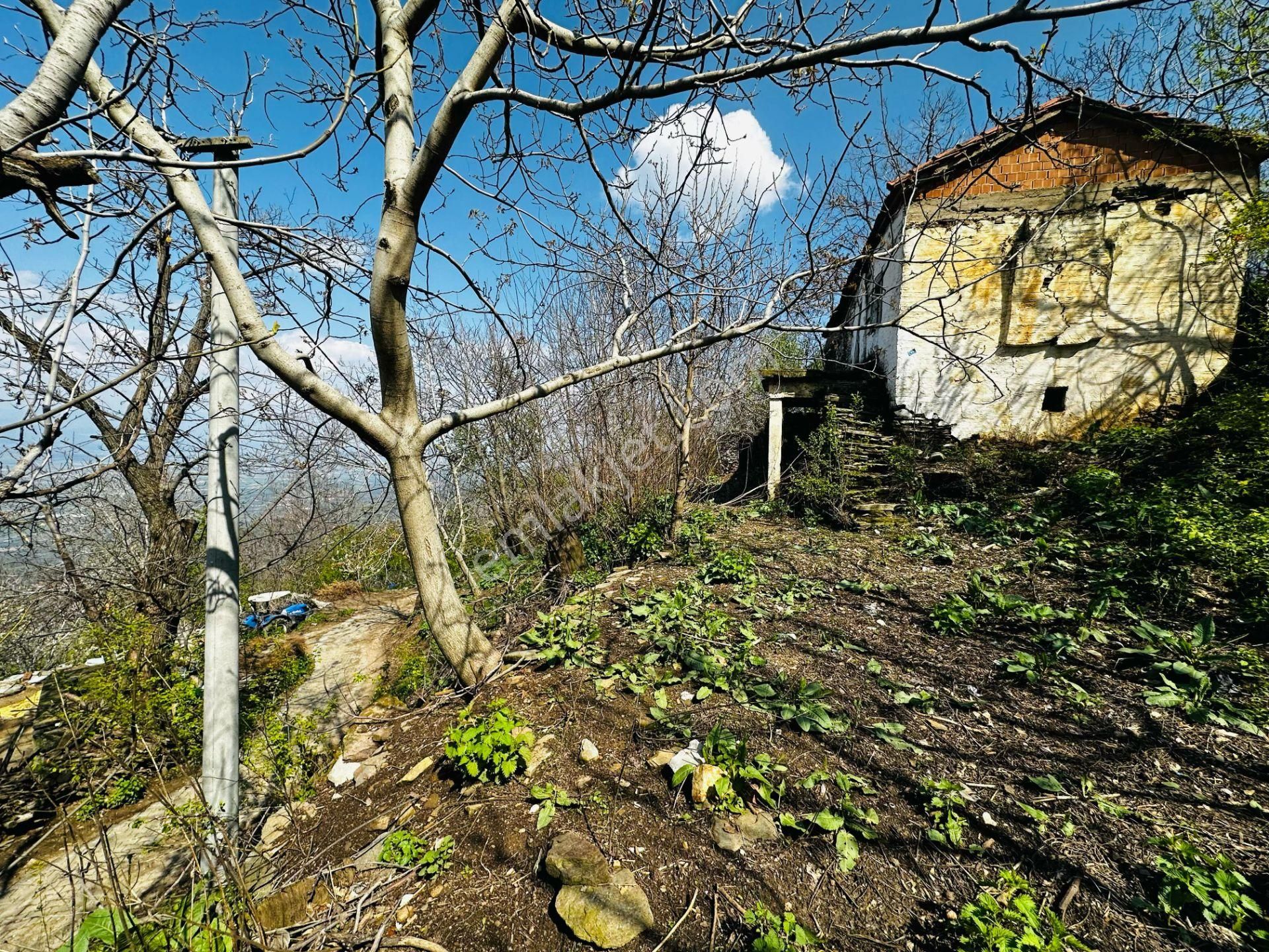 A Plus Gayrimenkulden Dallık Mah. Bin M2 Arsalı Satılık Müs. Ev - Görsel 14