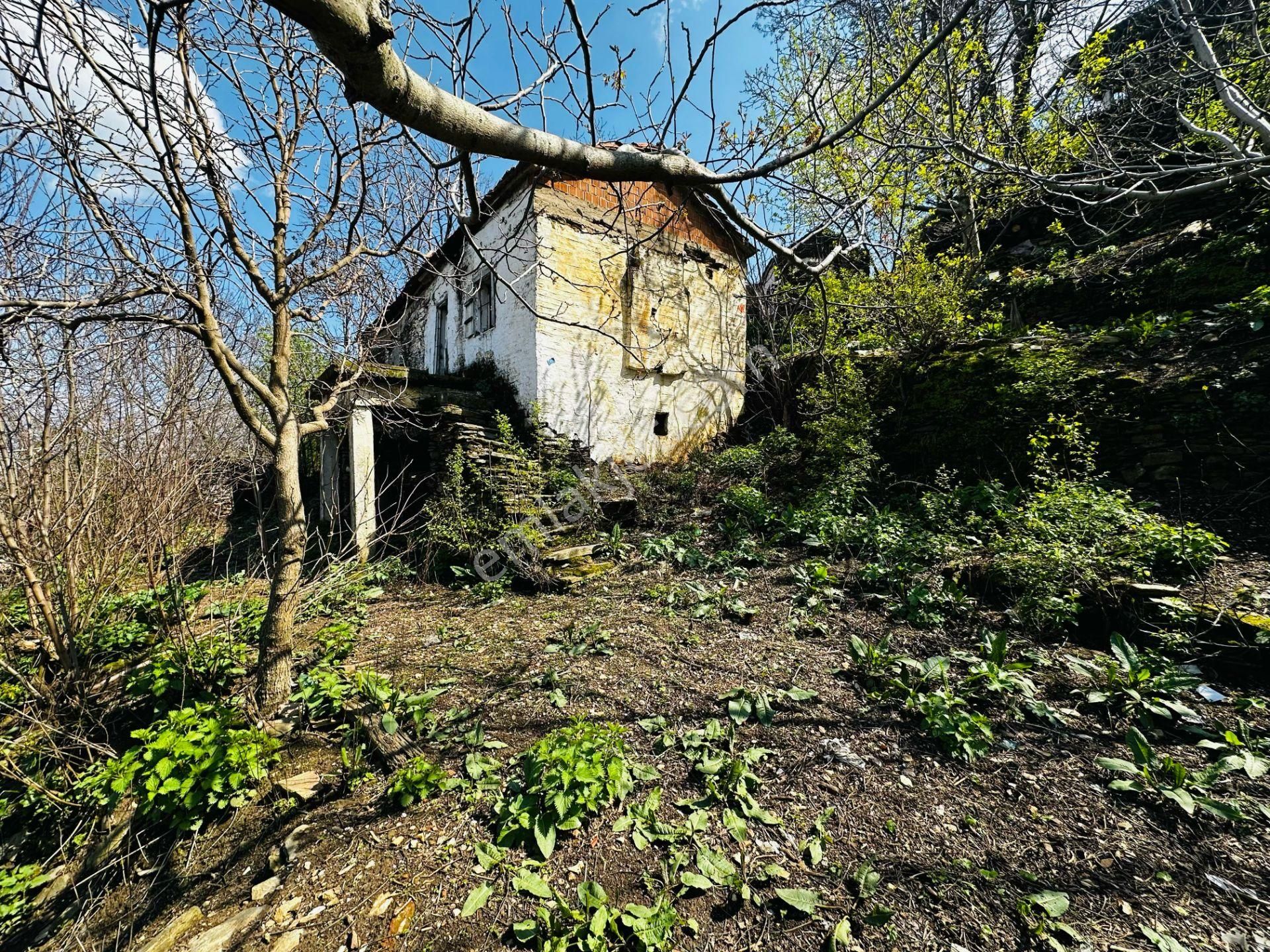 A Plus Gayrimenkulden Dallık Mah. Bin M2 Arsalı Satılık Müs. Ev - Görsel 16