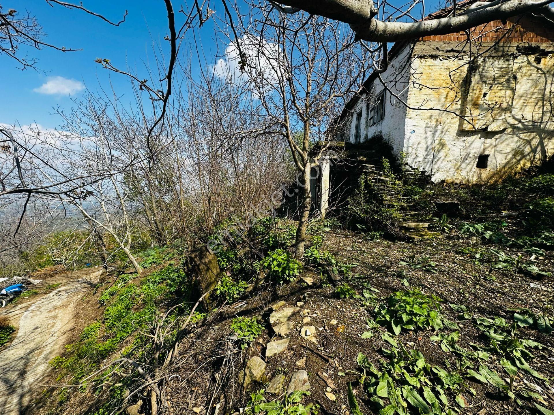 A Plus Gayrimenkulden Dallık Mah. Bin M2 Arsalı Satılık Müs. Ev - Görsel 19