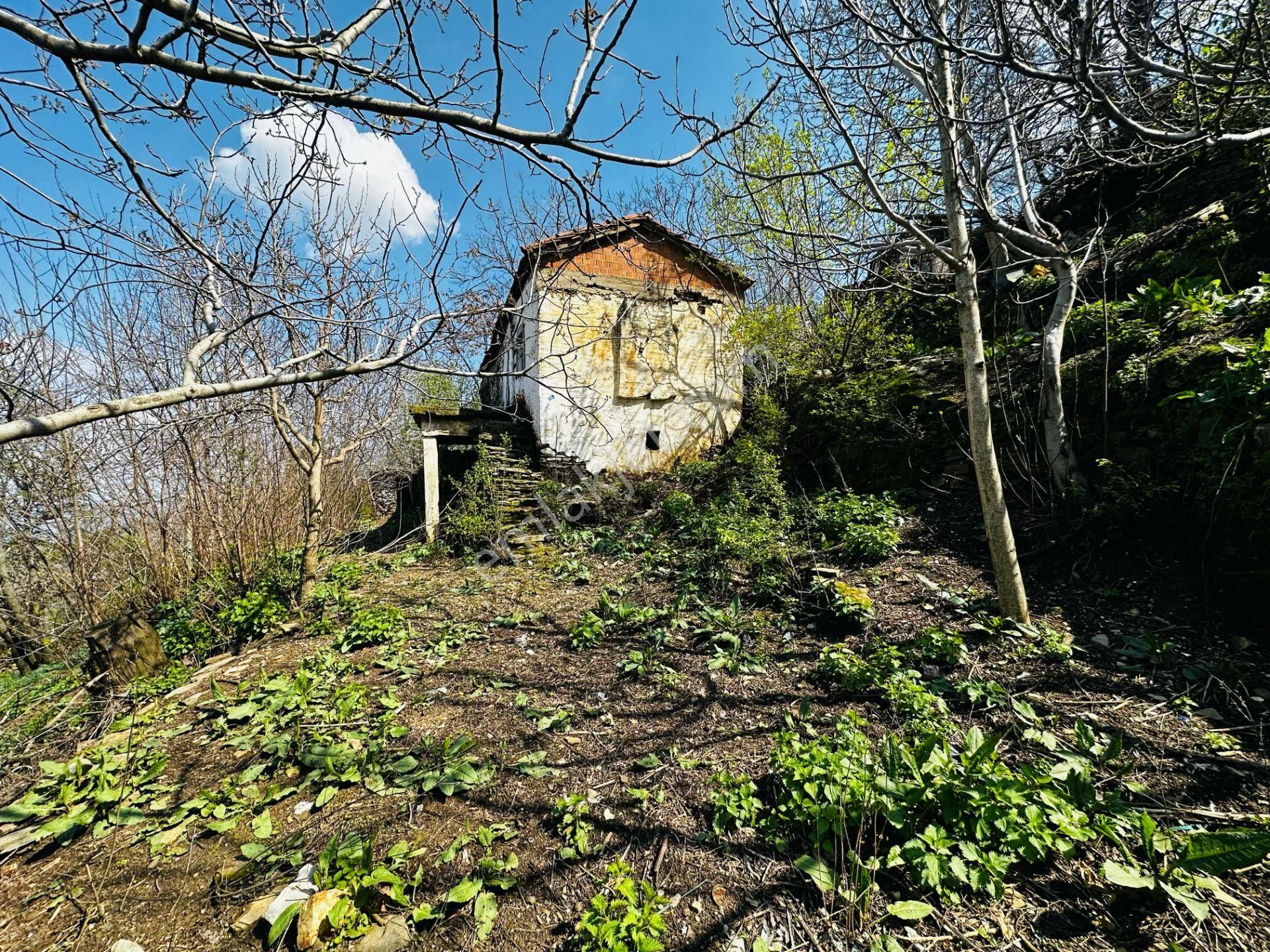 A Plus Gayrimenkulden Dallık Mah. Bin M2 Arsalı Satılık Müs. Ev - Görsel 15