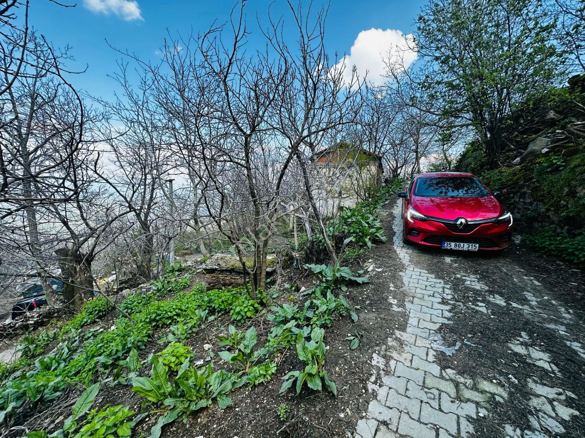 A Plus Gayrimenkulden Dallık Mah. Bin M2 Arsalı Satılık Müs. Ev - Görsel 18