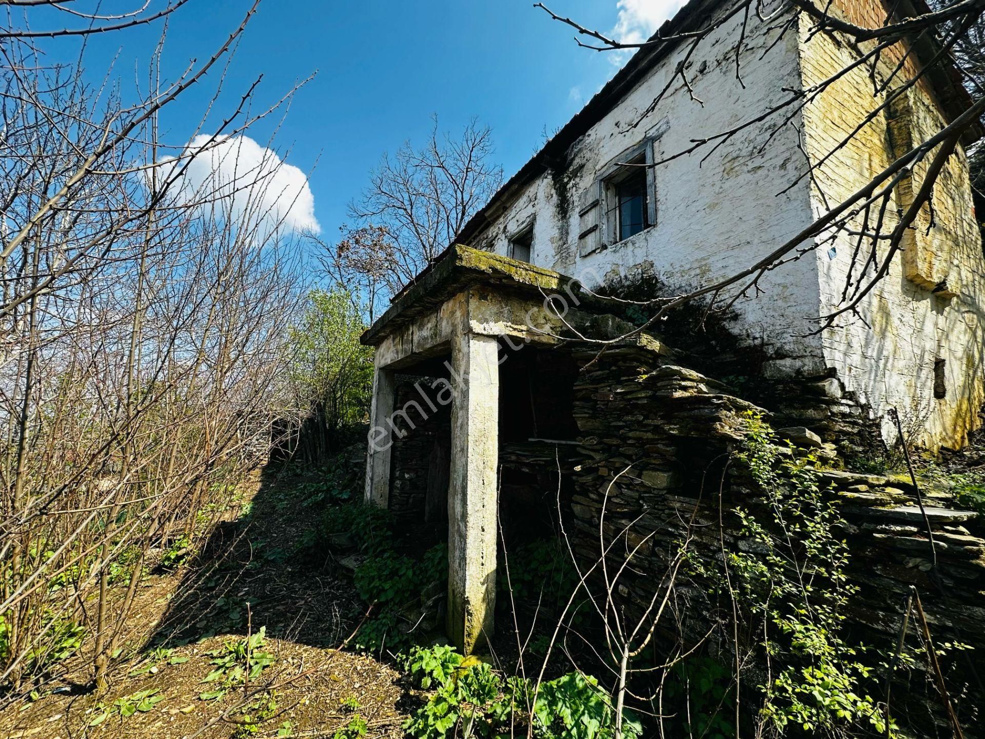 A Plus Gayrimenkulden Dallık Mah. Bin M2 Arsalı Satılık Müs. Ev - Görsel 17