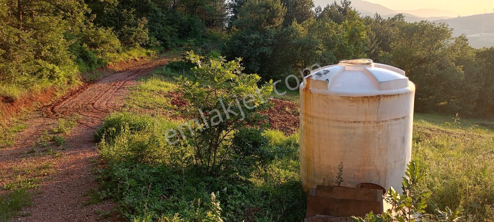 Nilvest Gayrimenkul Güvencesi İle Kestel Ümitalan Satlık Tarla - Görsel 8