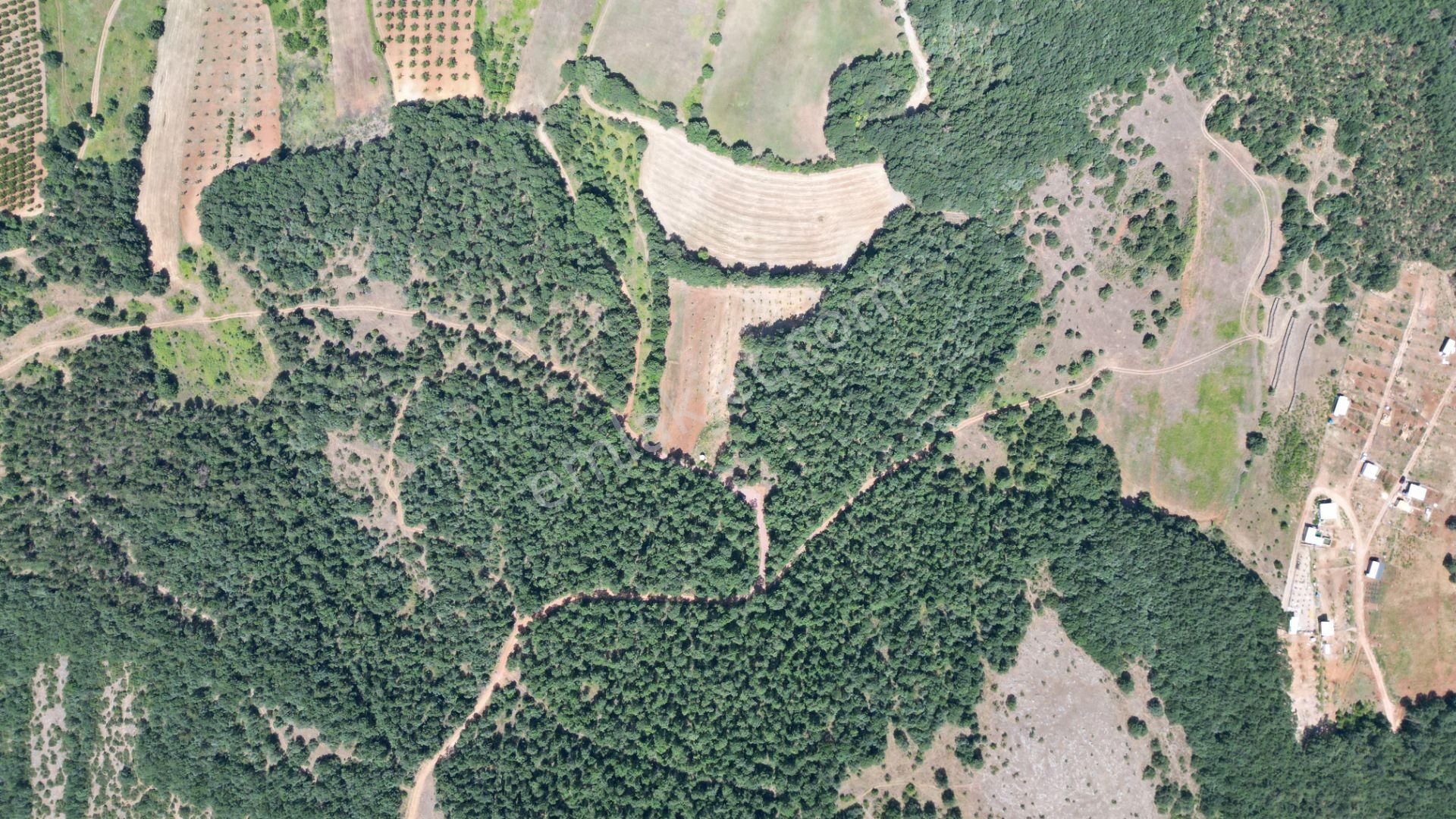 Nilvest Gayrimenkul Güvencesi İle Kestel Ümitalan Satlık Tarla - Görsel 5