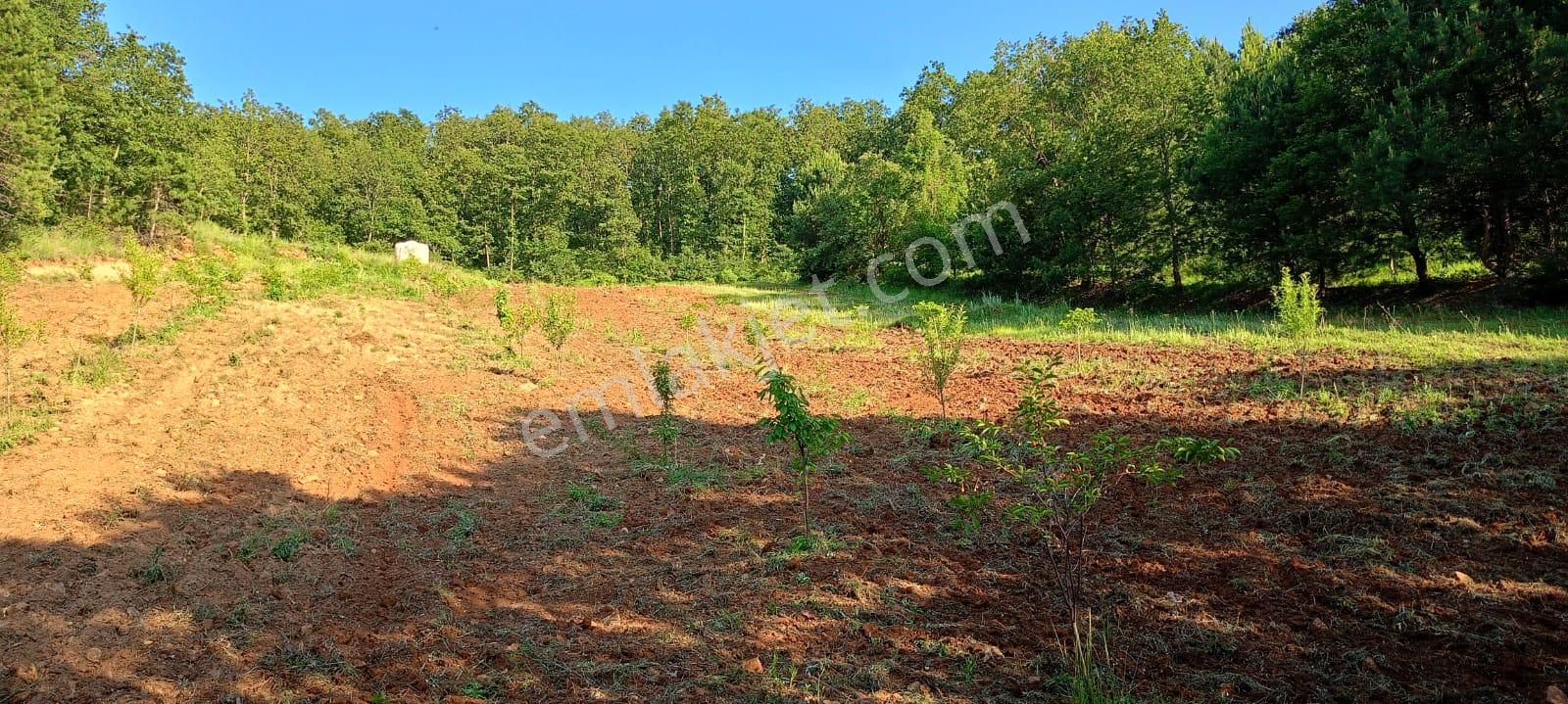 Nilvest Gayrimenkul Güvencesi İle Kestel Ümitalan Satlık Tarla - Görsel 9