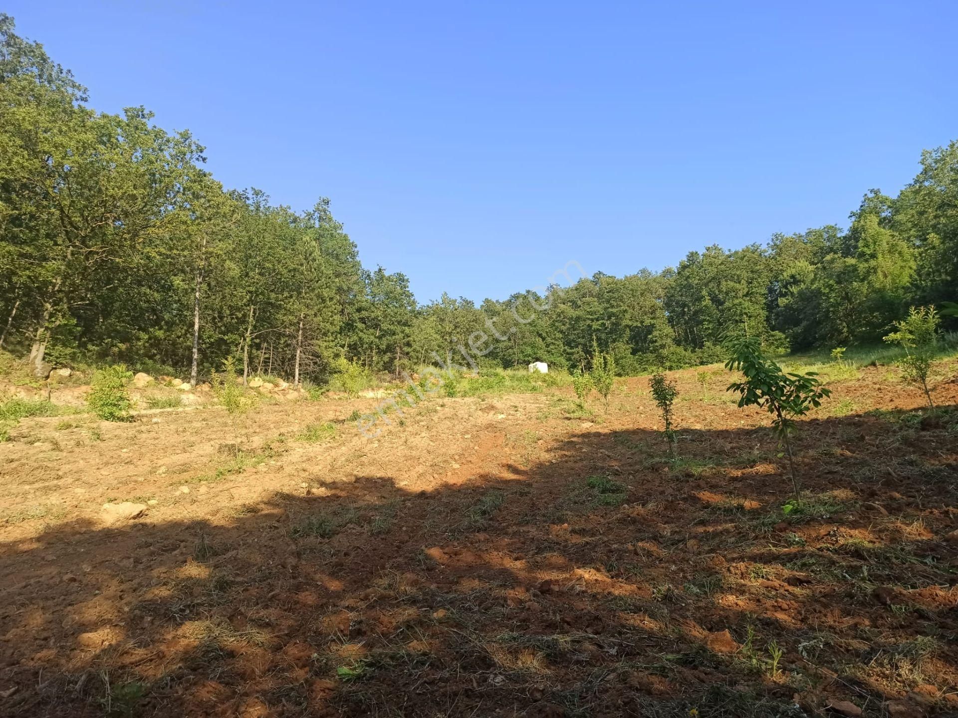 Nilvest Gayrimenkul Güvencesi İle Kestel Ümitalan Satlık Tarla - Görsel 11