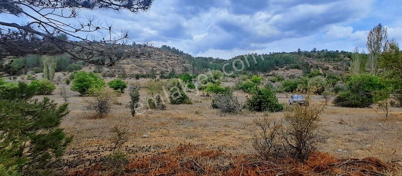 Konya Beyşehir Üzümlü De Satılık Tek Tapu Bağ Yeri 1054m - Görsel 12