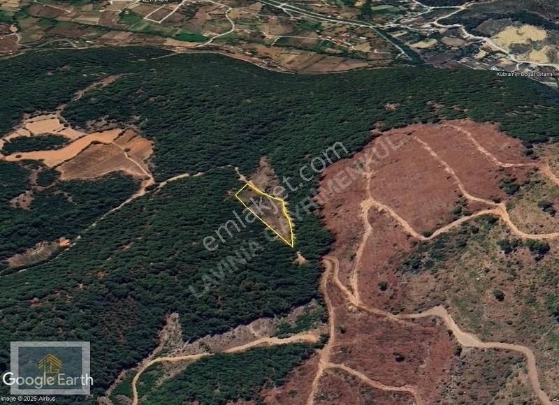 Lavinia'dan Fethiye Nif Satılık 6248 M² Tek Tapu Tarla - Görsel 15