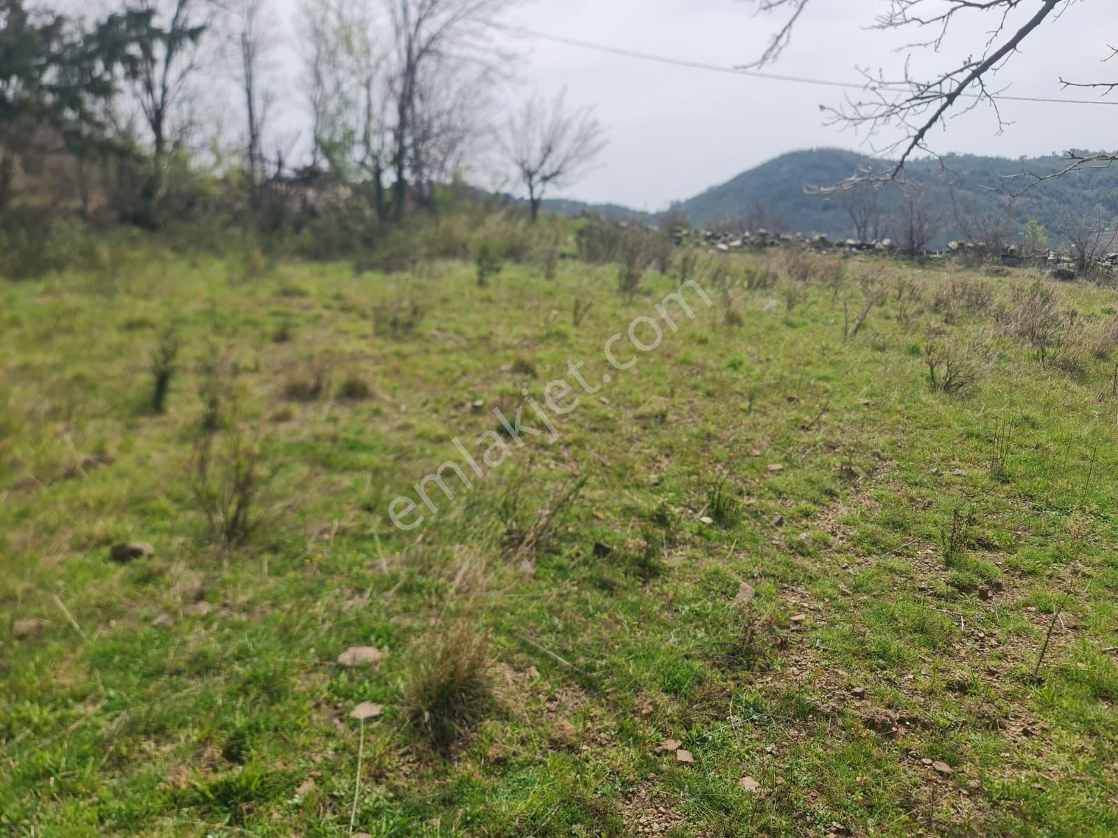870 M2 Yerimiz Satılıktır - Görsel 4