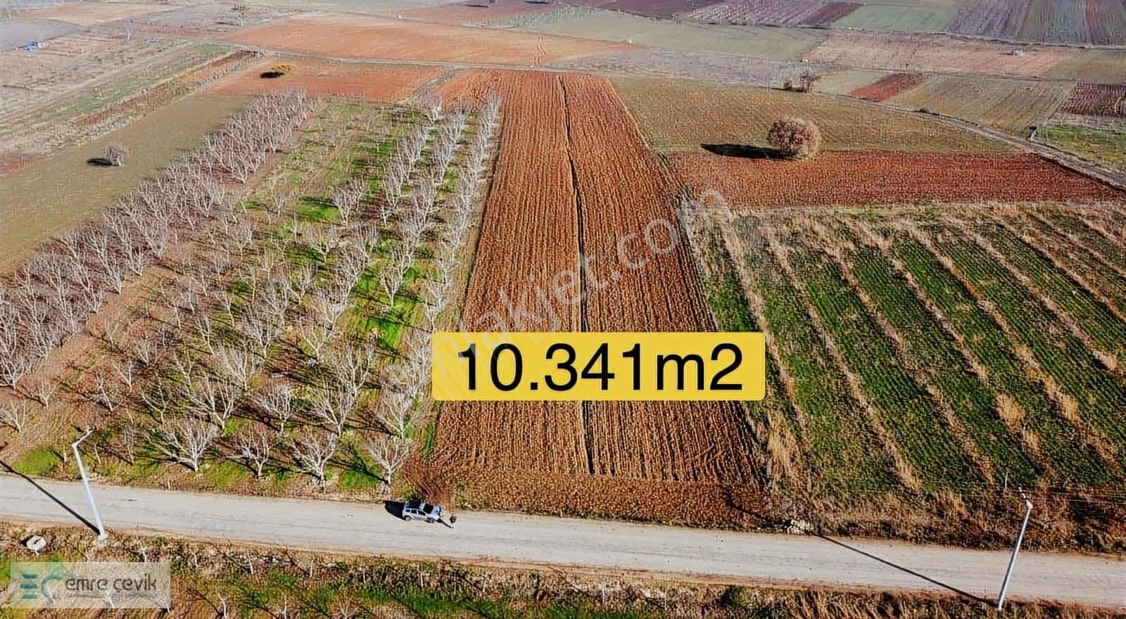 Emre Çevik'den Orhaniye Asfalt Yola Cephe Satılık Tarla 10.341m2 - Görsel 4