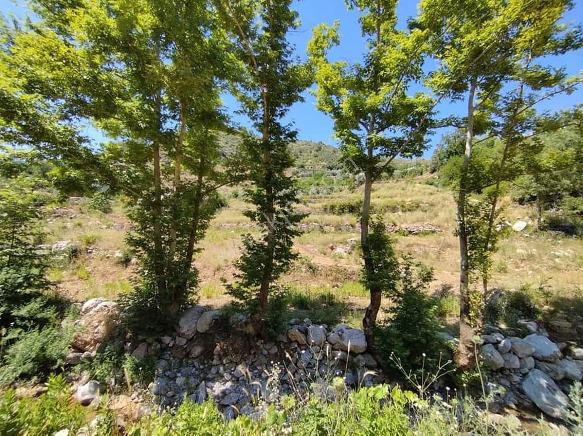 Acil Satılık Alanya Fakırcalı 1.913 M2 Tarla - Görsel 3