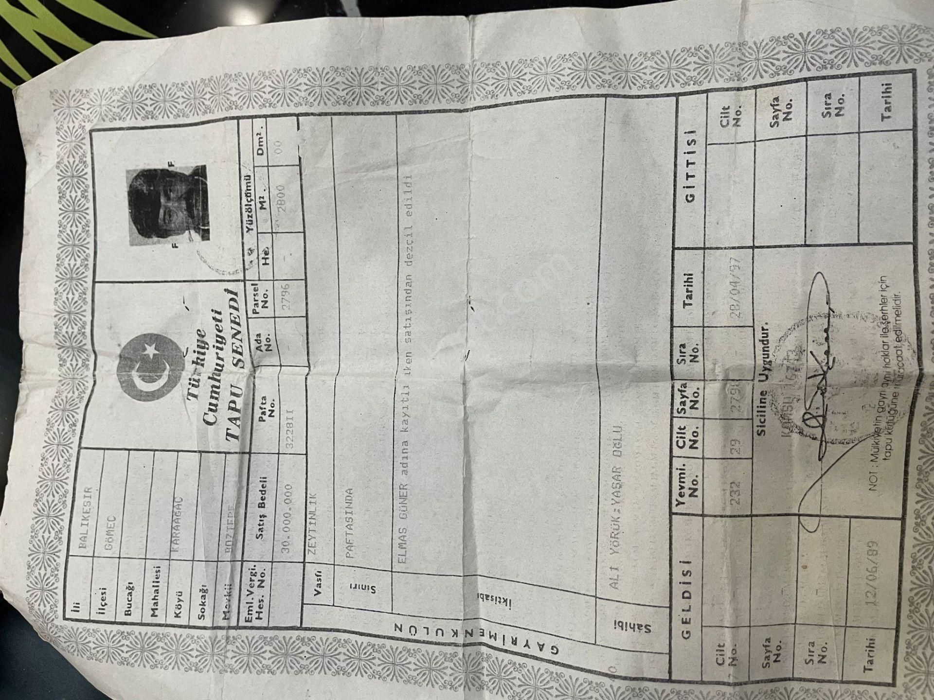 Buse Emlaktan Gömeç Karaağaçta Deniz Manzaralı Zeytinlik - Görsel 5