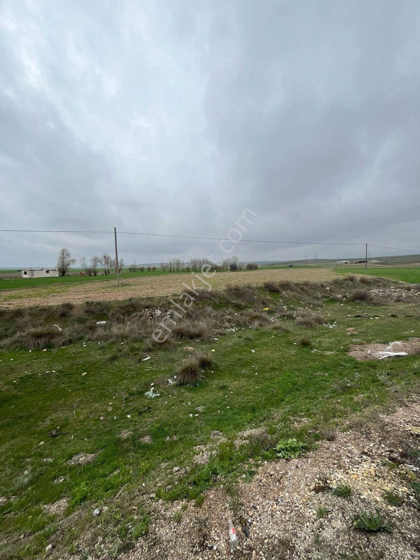 Afyon Üçok Emlaktan Konya Yolü Üzeri Satılık 6.875m Tarla - Görsel 7