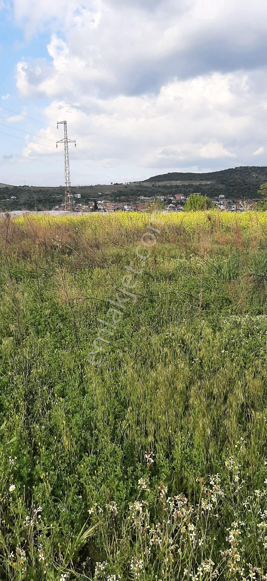 Acele Satilik Emiralem Tarla - Görsel 21