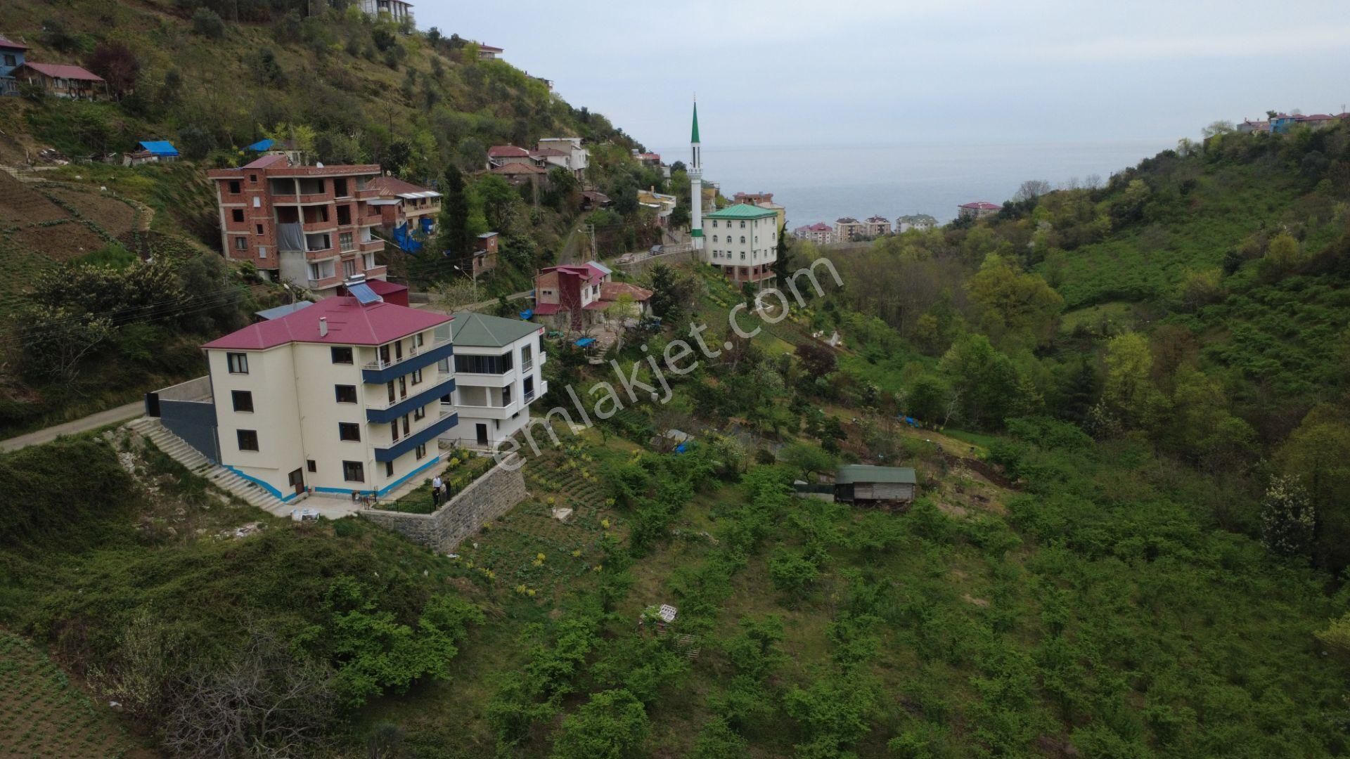 Akçaabat Da Komple Bina Ve 2 Tapulu Arsa Deniz Ve Doğa Manzaralı, Hem Bugün Hem Gelecek İçin Fırsat - Görsel 7