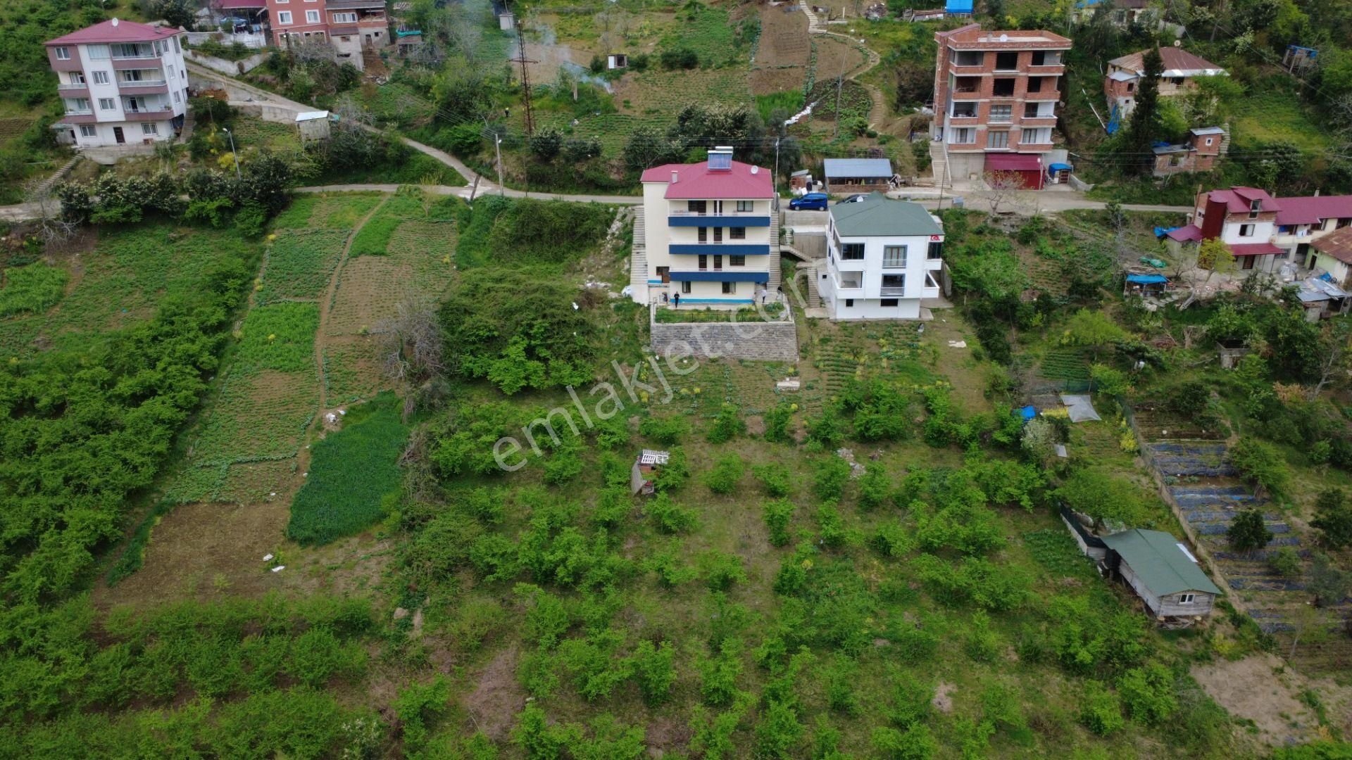 Akçaabat Da Komple Bina Ve 2 Tapulu Arsa Deniz Ve Doğa Manzaralı, Hem Bugün Hem Gelecek İçin Fırsat - Görsel 3