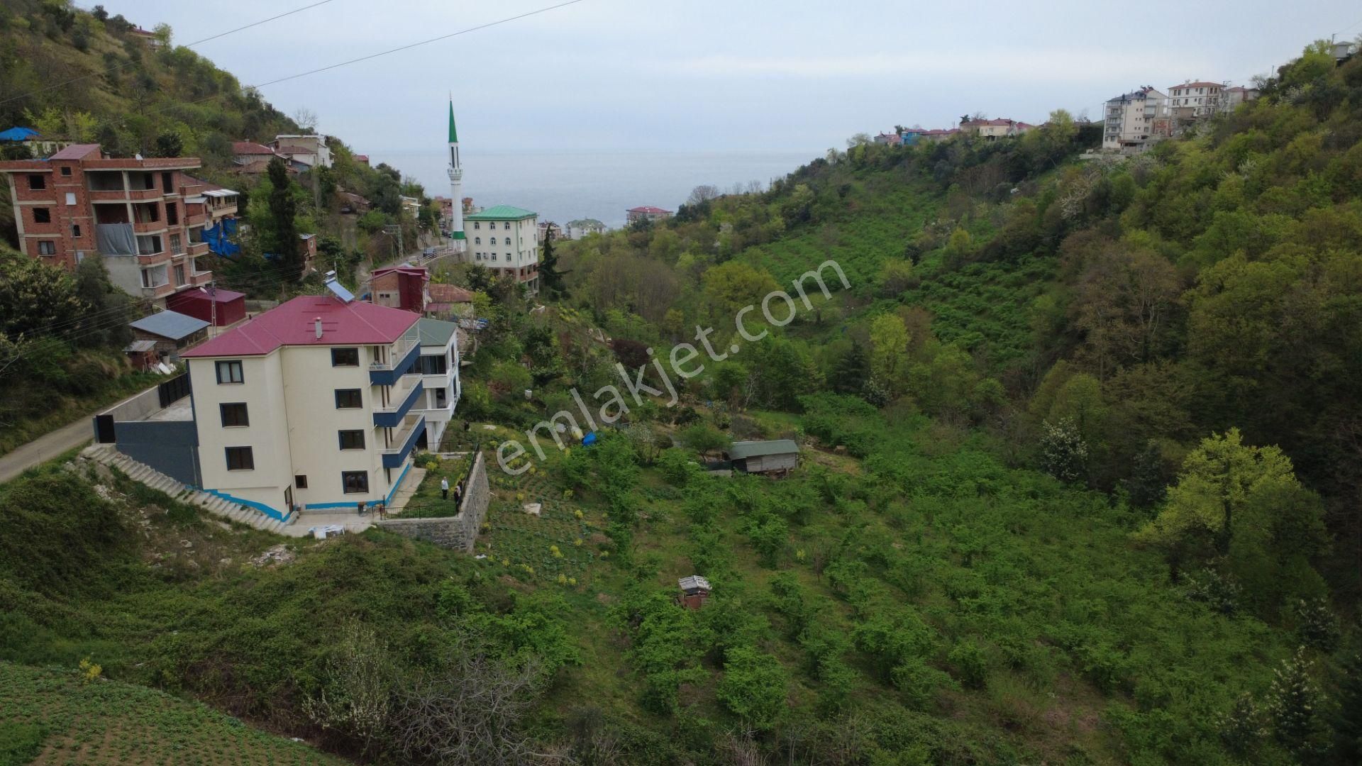 Akçaabat Da Komple Bina Ve 2 Tapulu Arsa Deniz Ve Doğa Manzaralı, Hem Bugün Hem Gelecek İçin Fırsat - Görsel 8
