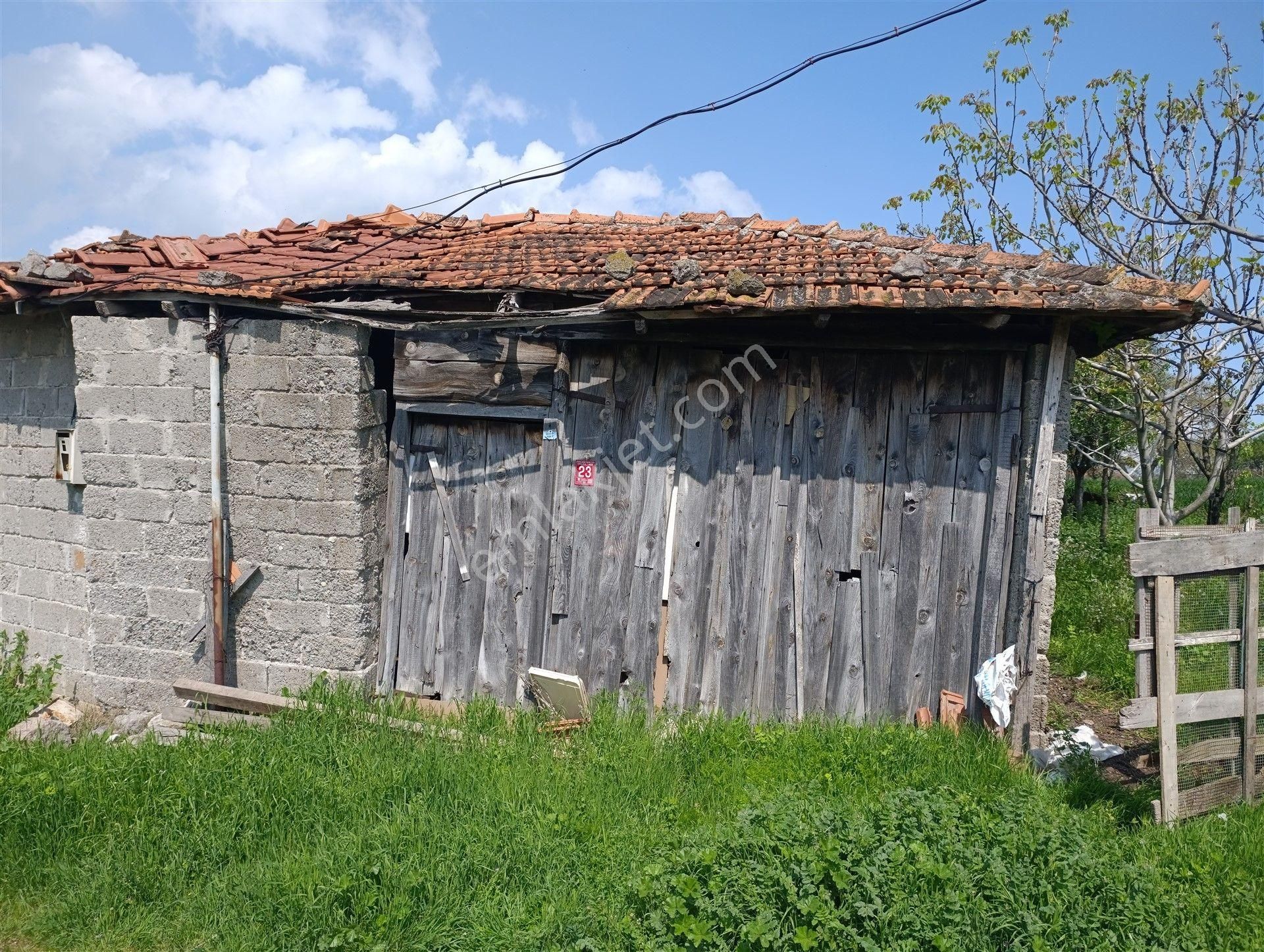 1.470 M2 Müstakil Köy Evi Arsa Meyve Bahçeli Bağ-bahçe Asmalıdere - Görsel 5