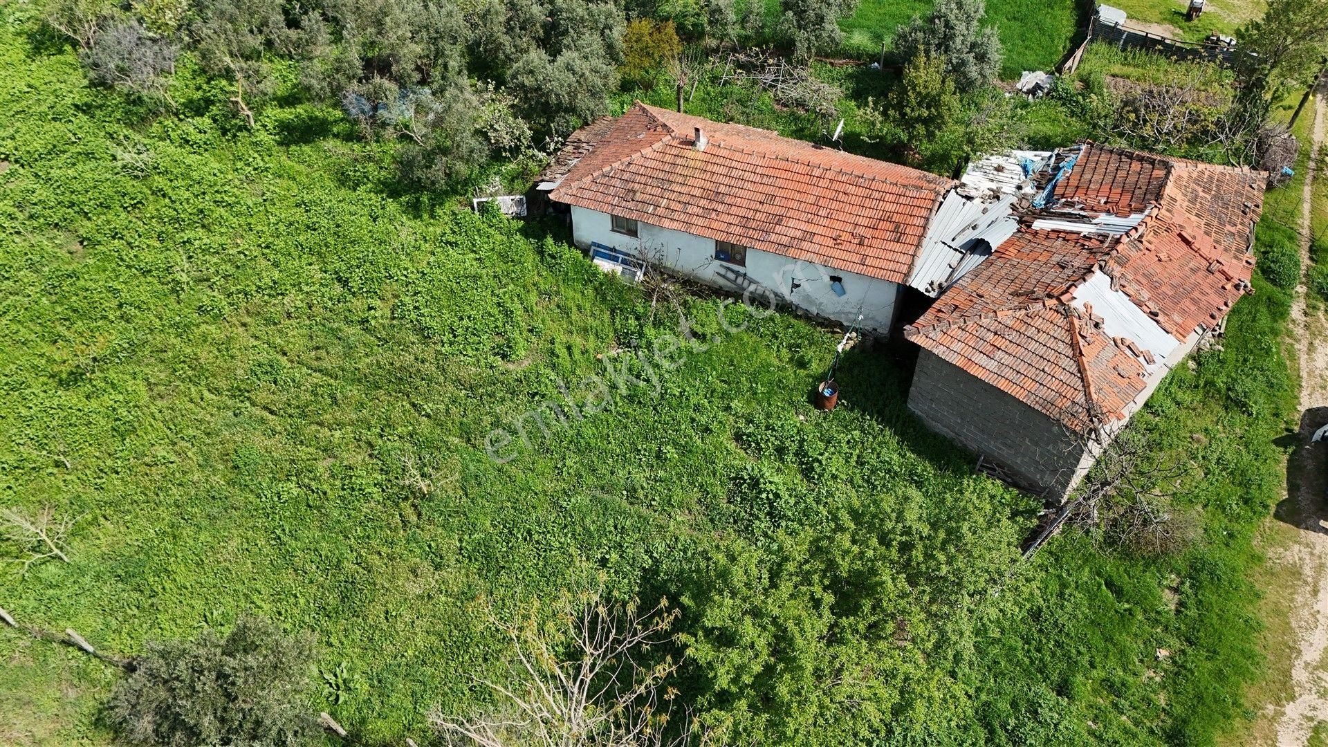 1.470 M2 Müstakil Köy Evi Arsa Meyve Bahçeli Bağ-bahçe Asmalıdere - Görsel 15