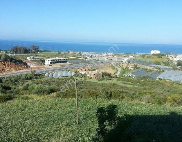 Acil Satılık Alanya Yeşilöz 100.000 M² Tarla - Görsel 3