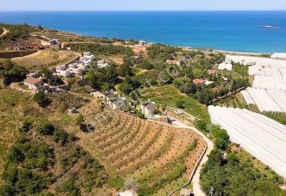 Acil Satılık Alanya Yeşilöz 100.000 M² Tarla - Görsel 2