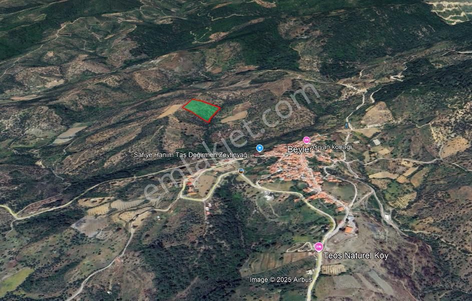 Seferihisar Beyler Köyü’nde Verimli Zeytinlik - Görsel 15