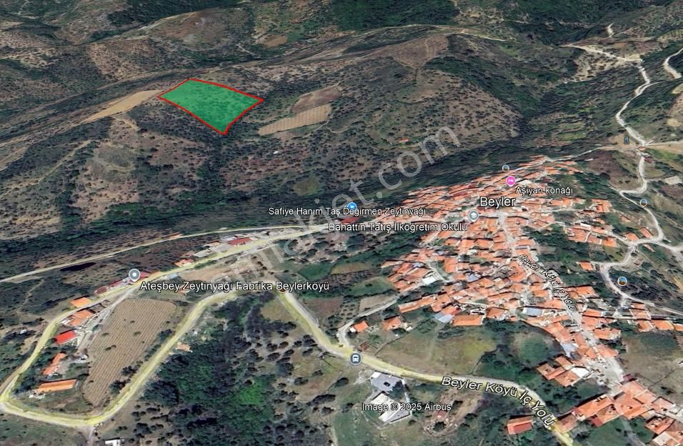 Seferihisar Beyler Köyü’nde Verimli Zeytinlik - Görsel 17