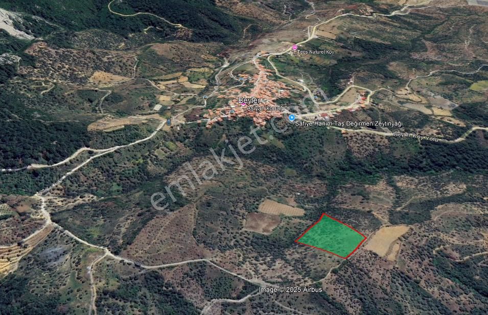 Seferihisar Beyler Köyü’nde Verimli Zeytinlik - Görsel 11