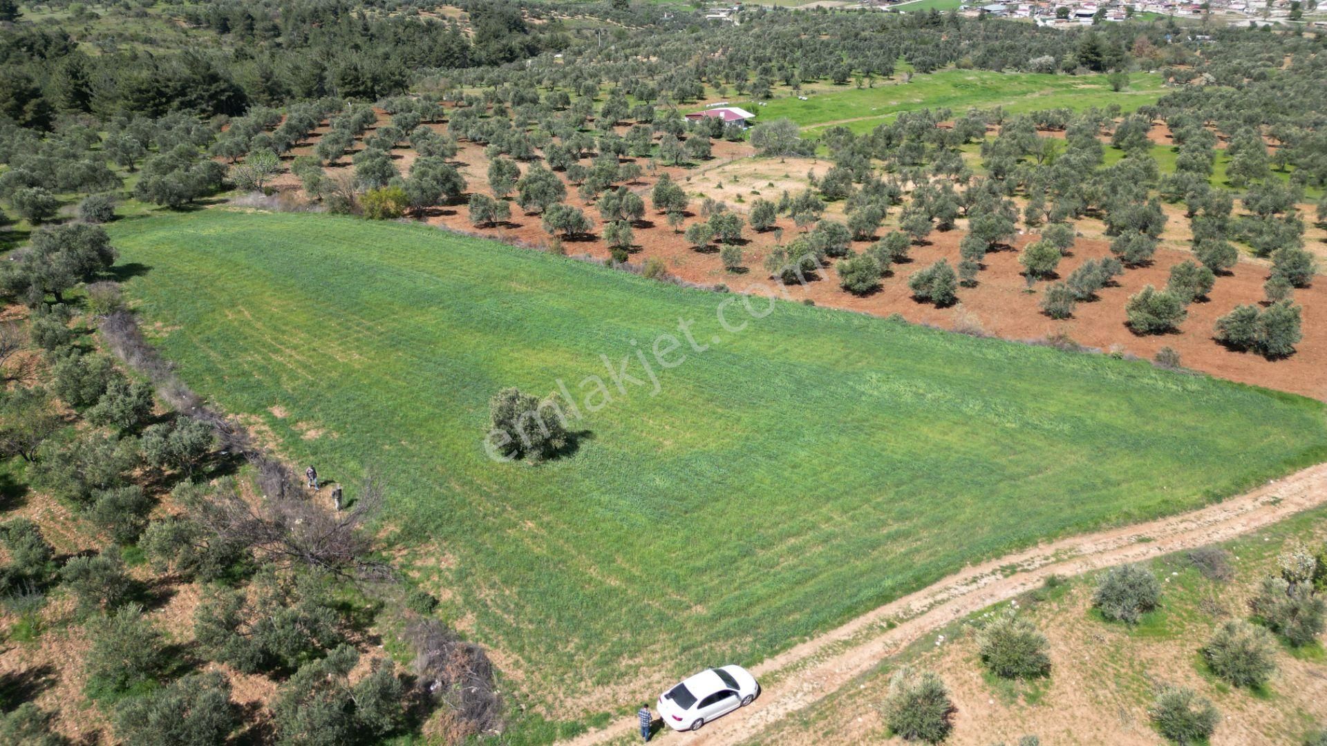 Çanakkale Dümrek Köyü Satılık Tarla Kelepir - Görsel 2