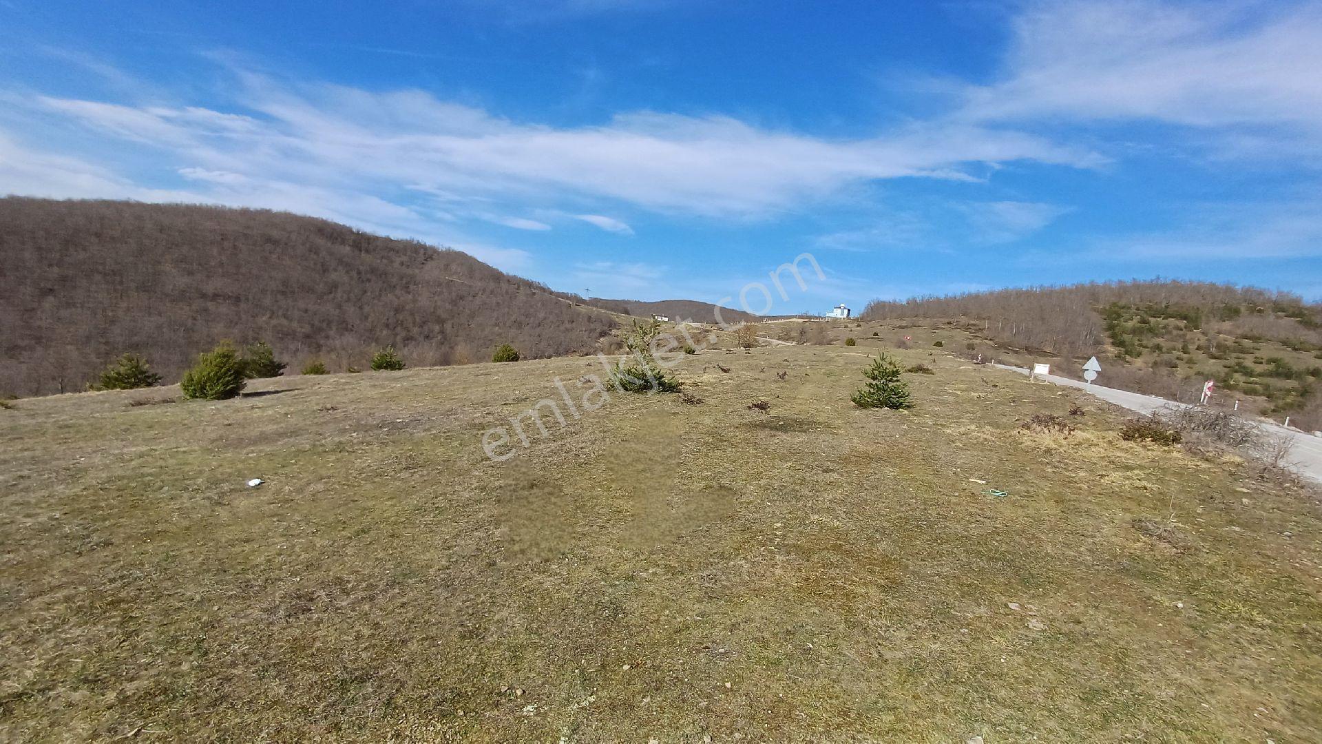 Kavak Çakallı'da Doğa Manzaralı Kurtuluş Yoluna Cephe 2.500 M2 Müstakil Tapulu - Görsel 19