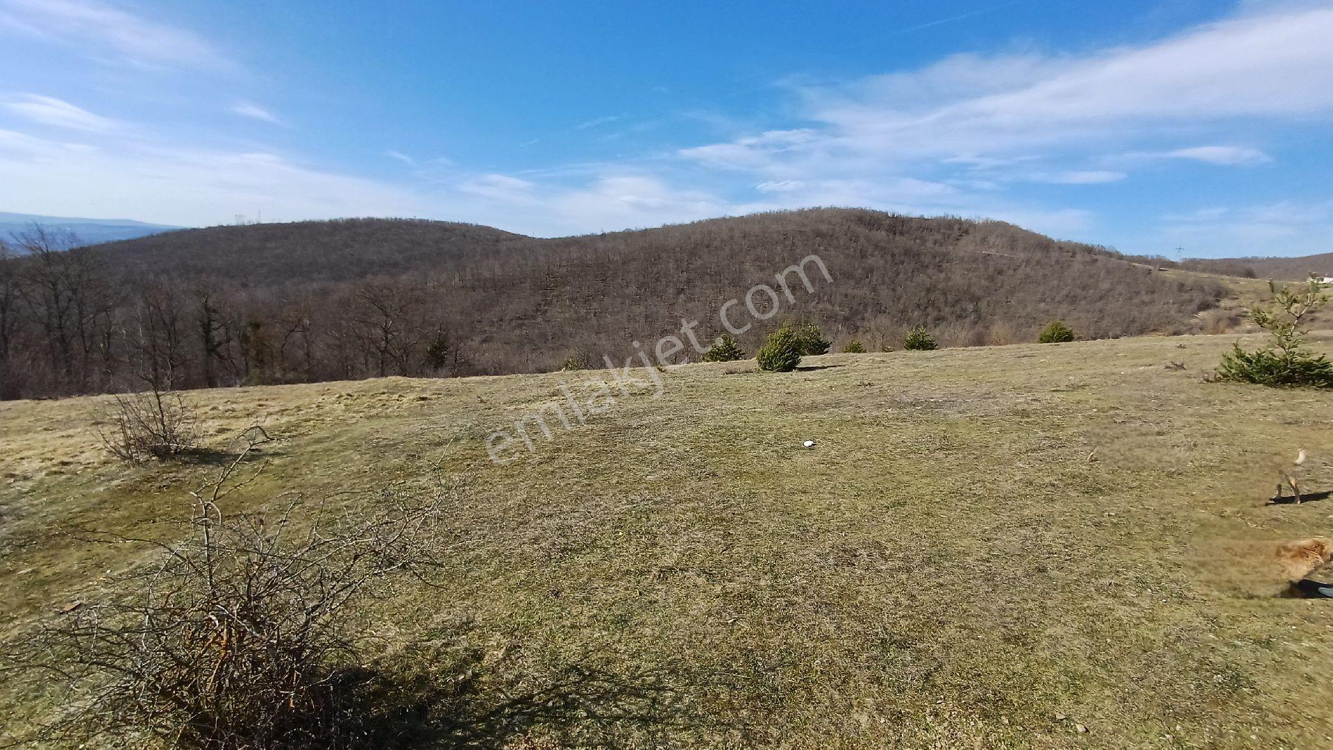 Kavak Çakallı'da Doğa Manzaralı Kurtuluş Yoluna Cephe 2.500 M2 Müstakil Tapulu - Görsel 16