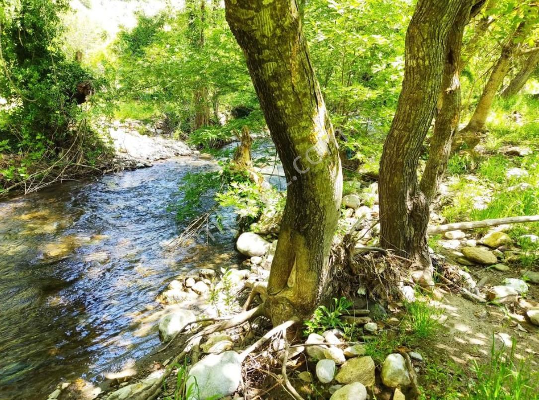 Acil Satılık Alanya Sapadere 2.130 M2 Tarla - Görsel 4