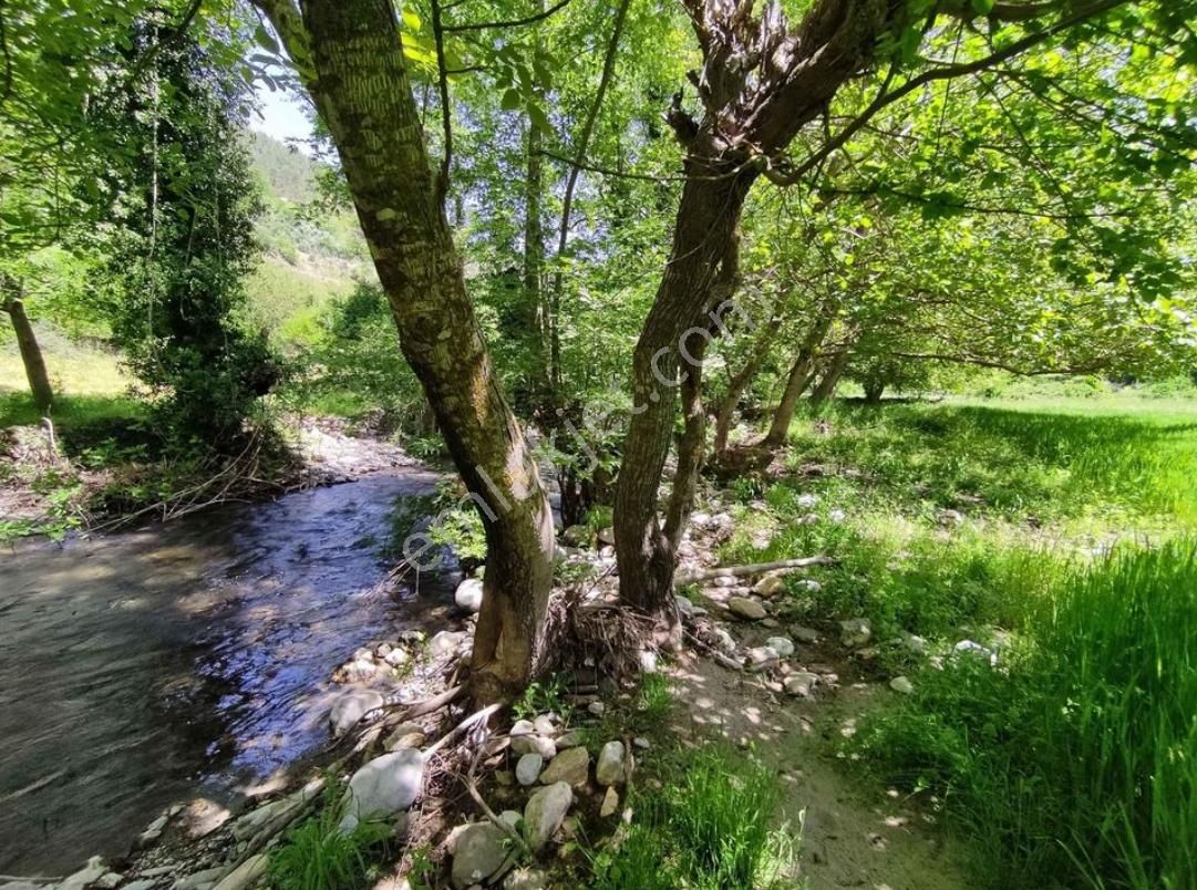 Acil Satılık Alanya Sapadere 2.130 M2 Tarla - Görsel 8