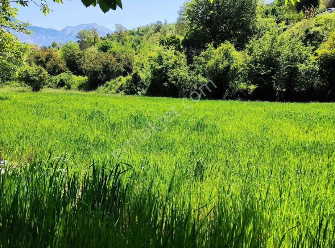 Acil Satılık Alanya Sapadere 2.130 M2 Tarla - Görsel 7