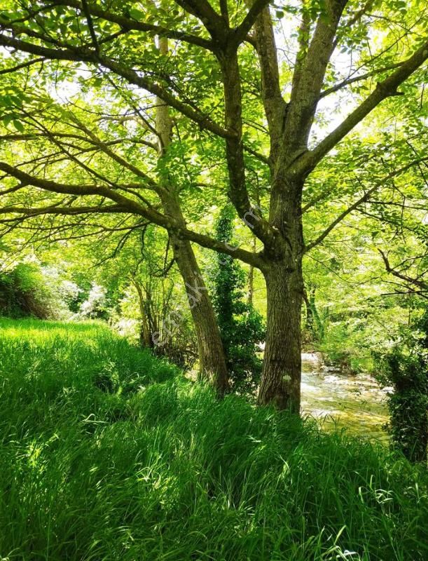 Acil Satılık Alanya Sapadere 2.130 M2 Tarla - Görsel 6