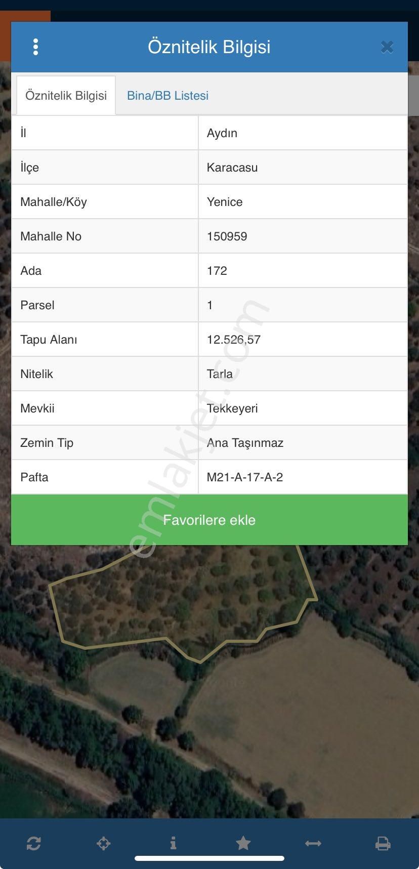 Yenicede 12,5 Dönüm Zeytinlik - Görsel 2