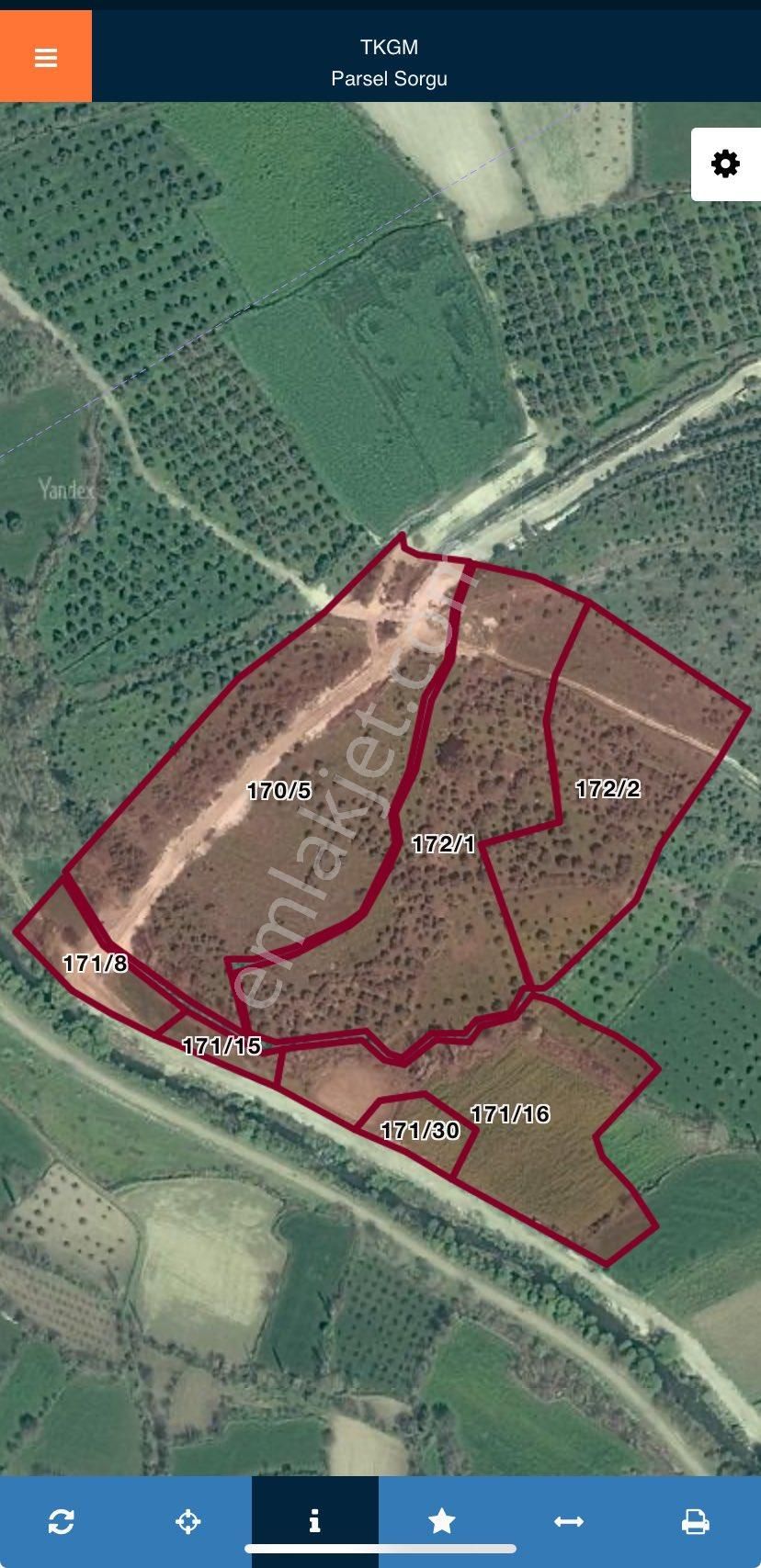 Yenicede 12,5 Dönüm Zeytinlik - Görsel 12