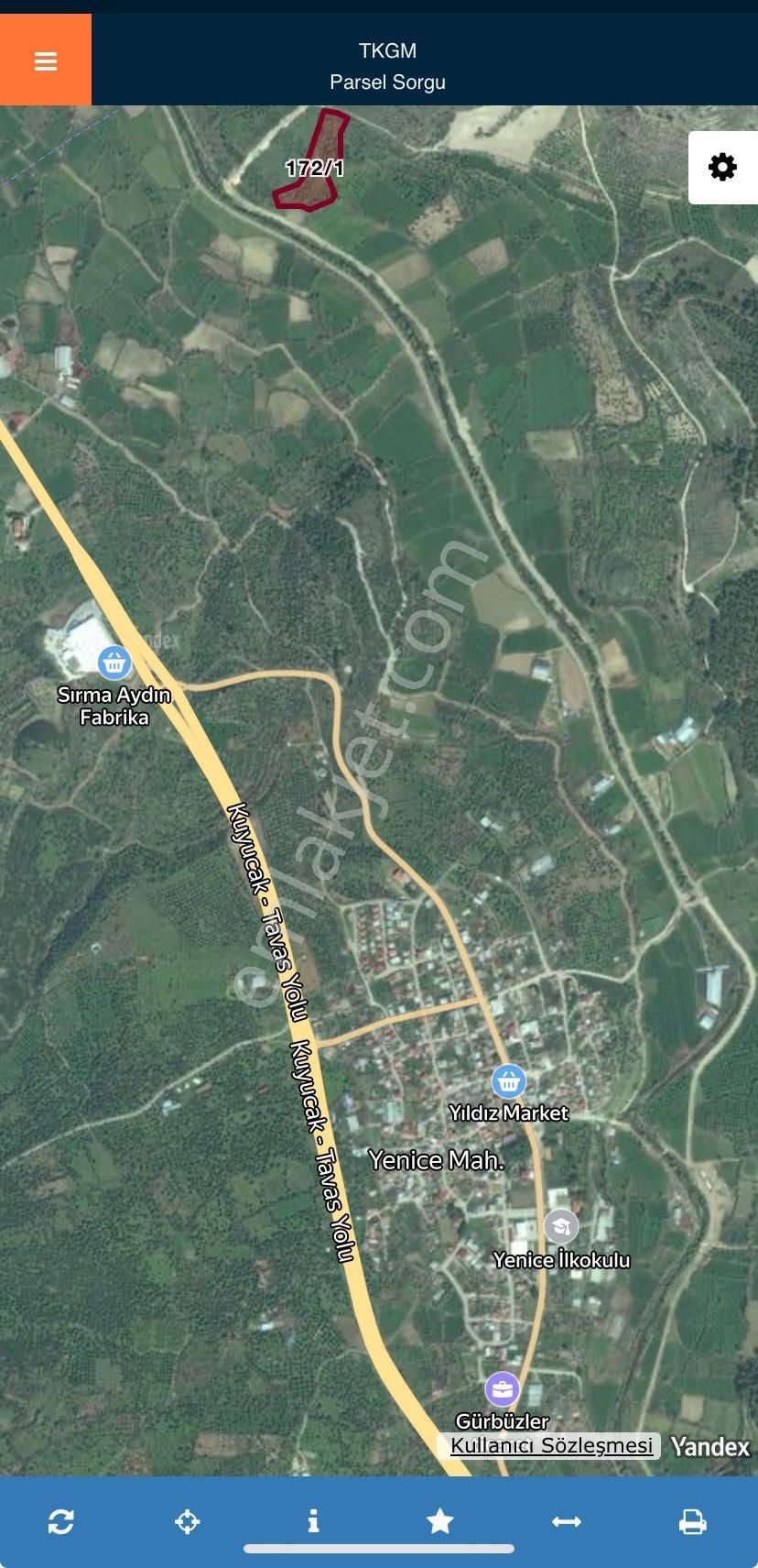 Yenicede 12,5 Dönüm Zeytinlik - Görsel 10
