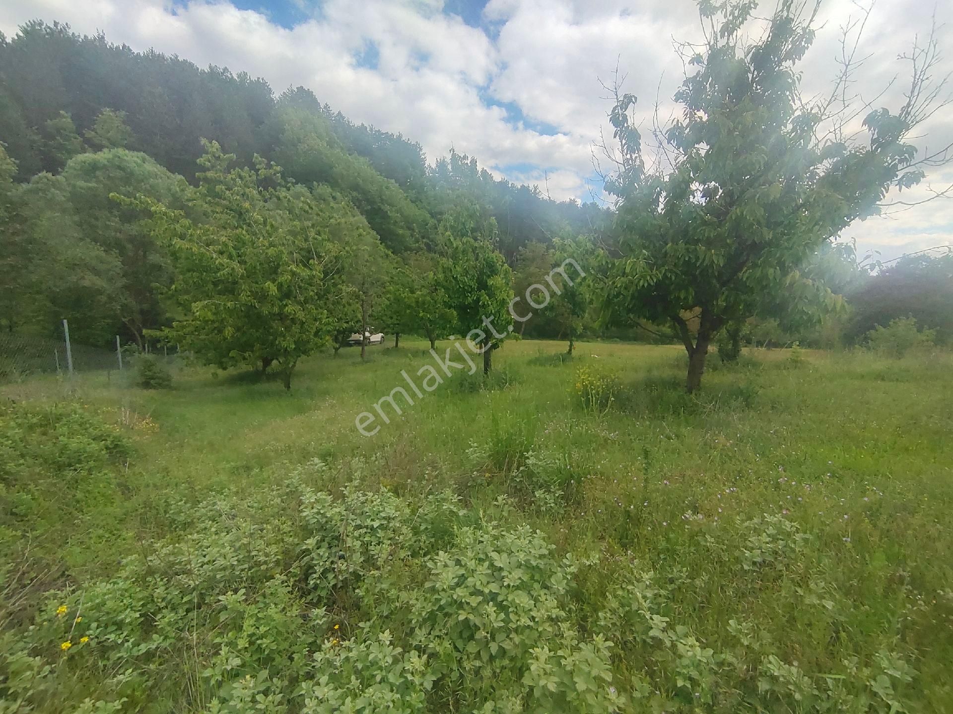 Bursa Keles 1455 Metrekare Satılık Tarla