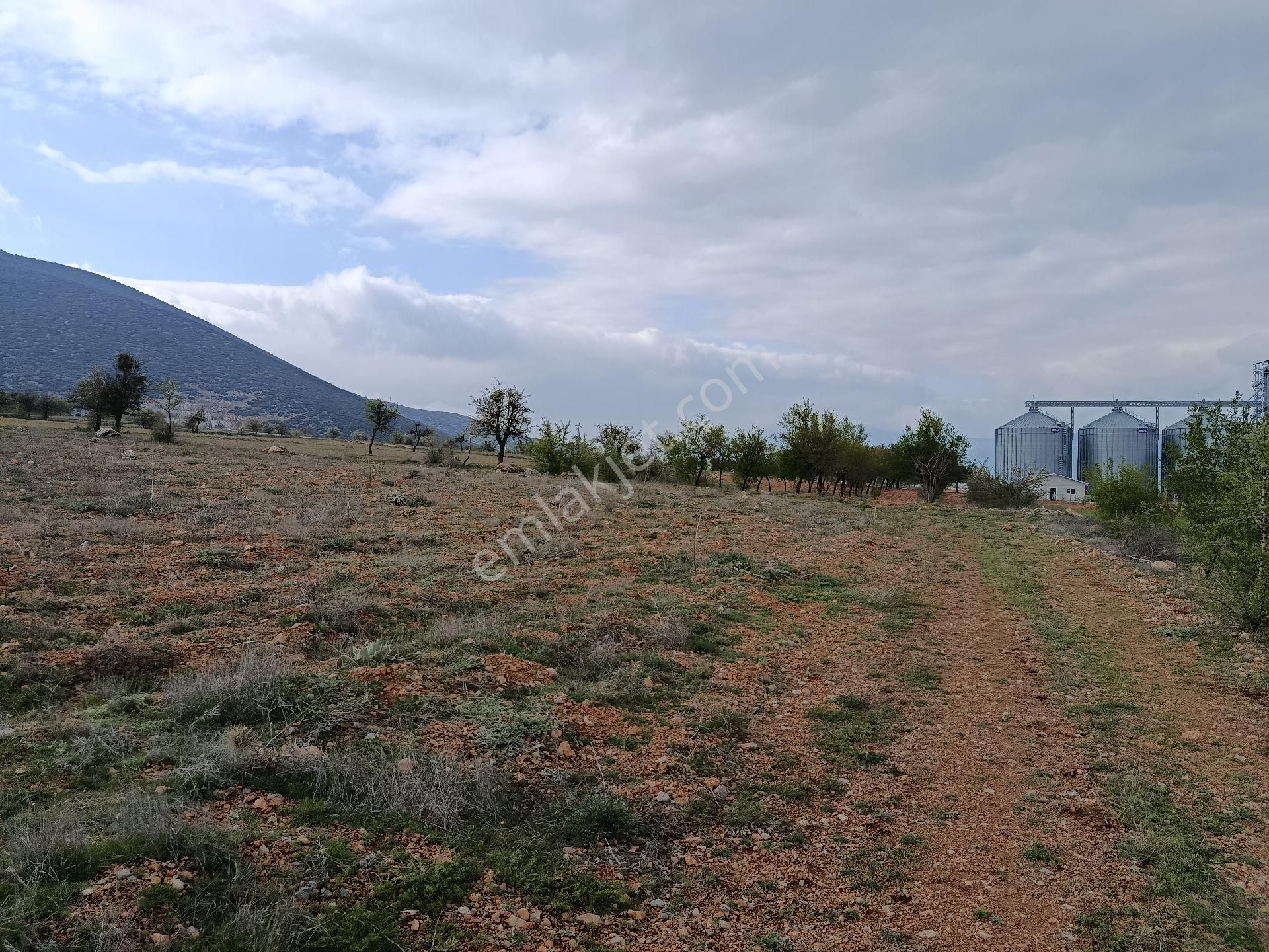 Atabey'den Acıpayam Silo Karşısı Satılık Arsa - Görsel 7