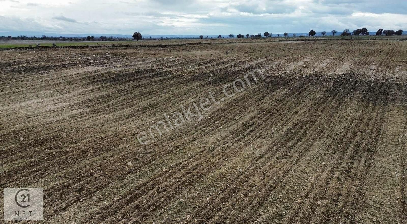 C21 Net'ten Güneyde Kaçırılmayacak Fırsat! 21.442 M² Üzüm Bağı - Görsel 2