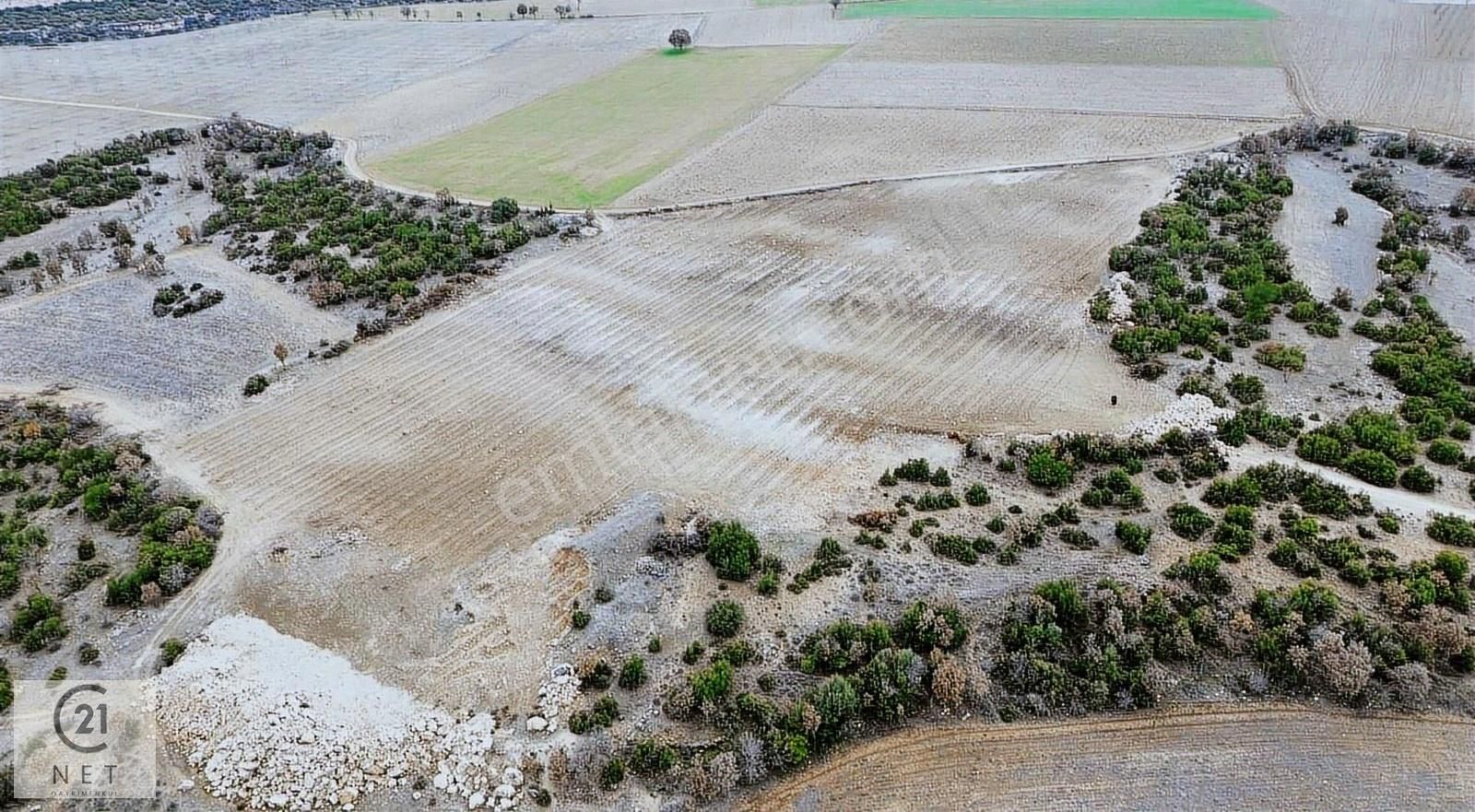 C21 Net'ten Güneyde Kaçırılmayacak Fırsat! 21.442 M² Üzüm Bağı - Görsel 4
