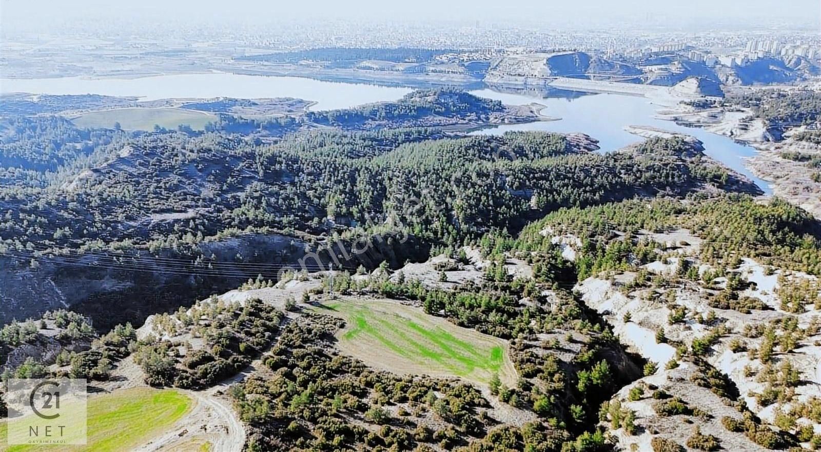 Century 21 Net'ten Karakurt'ta 3800 M² Hobi Bahçesi - Görsel 4