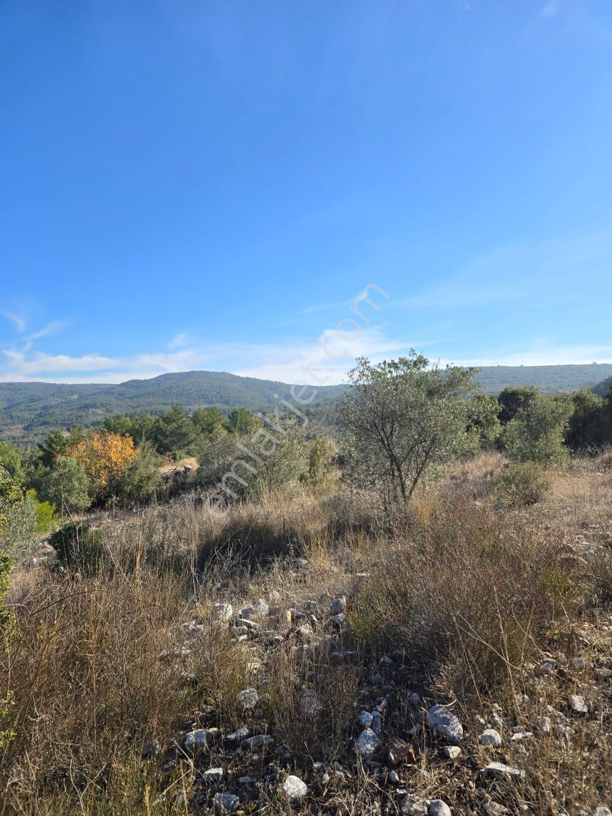 Muğla Menteşe Yeşilyurt Mah. 3.619 M2 Satılık Tarla - Görsel 9