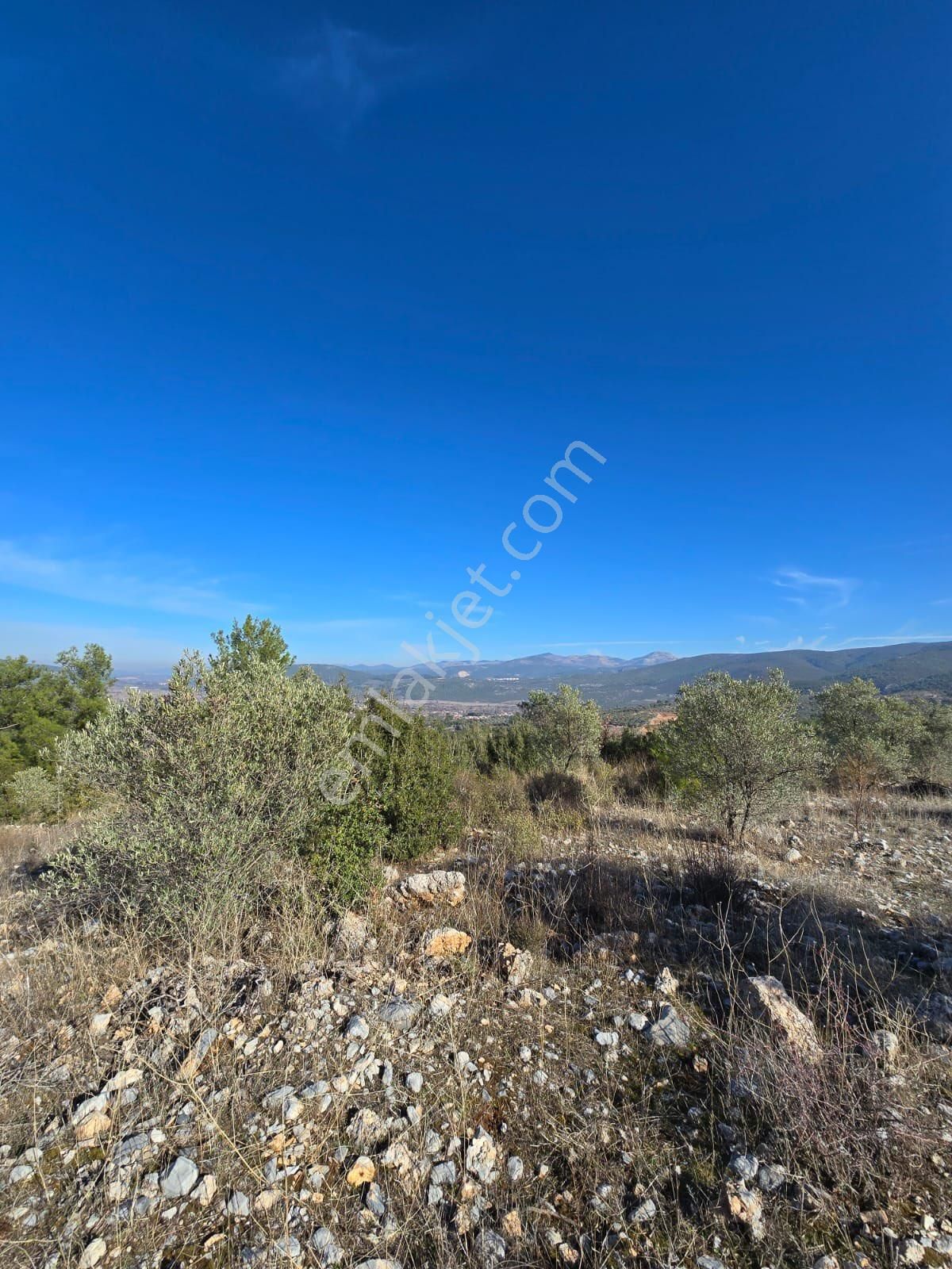 Muğla Menteşe Yeşilyurt Mah. 3.619 M2 Satılık Tarla - Görsel 6