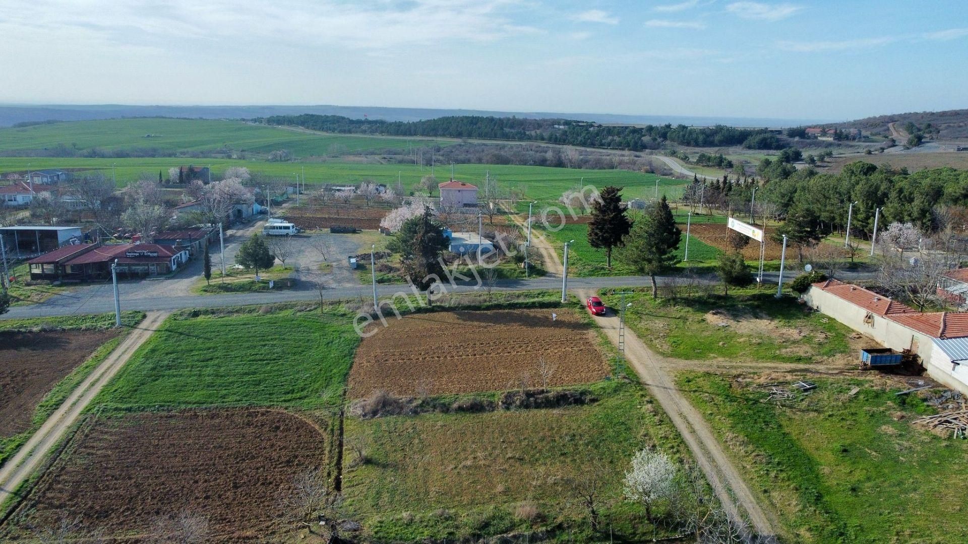 Tekirdağ Süleymanpaşa Ferhadanlı'da Yola Cepheli 600 M² Arsa - Görsel 10