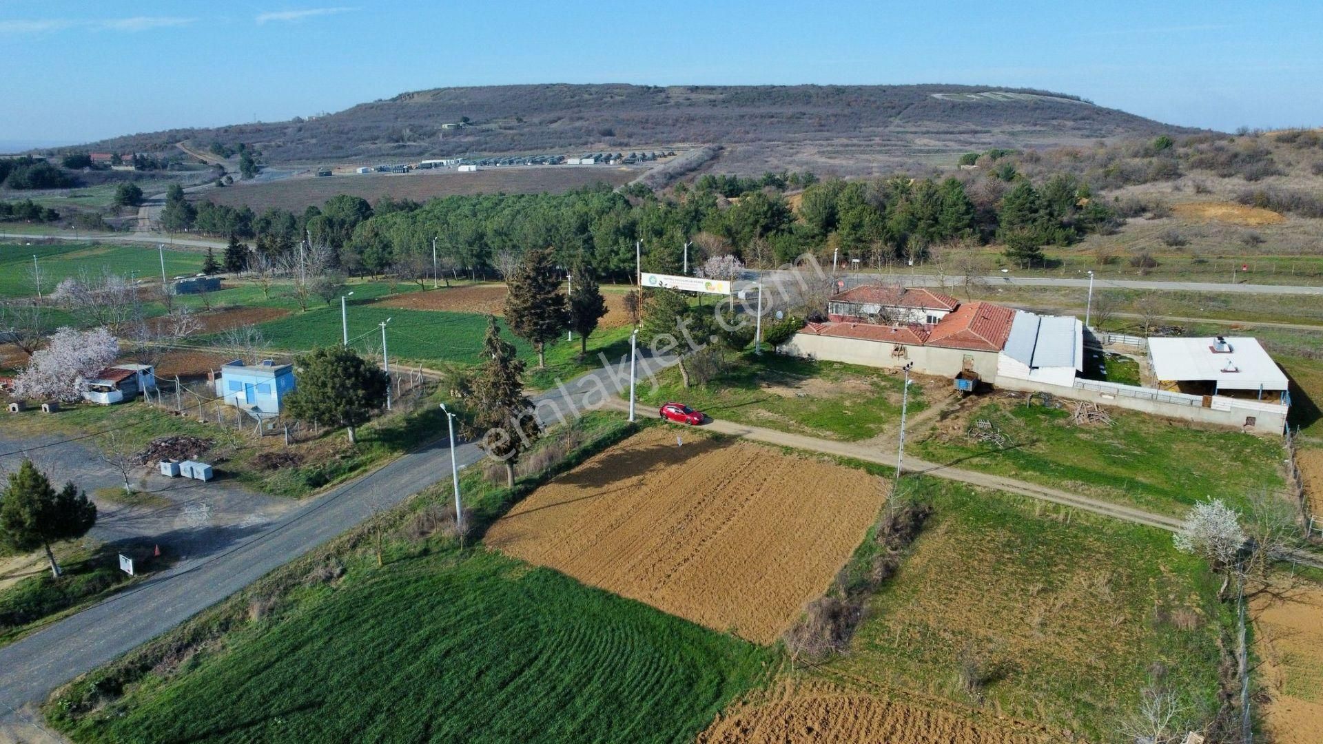 Tekirdağ Süleymanpaşa Ferhadanlı'da Yola Cepheli 600 M² Arsa - Görsel 11